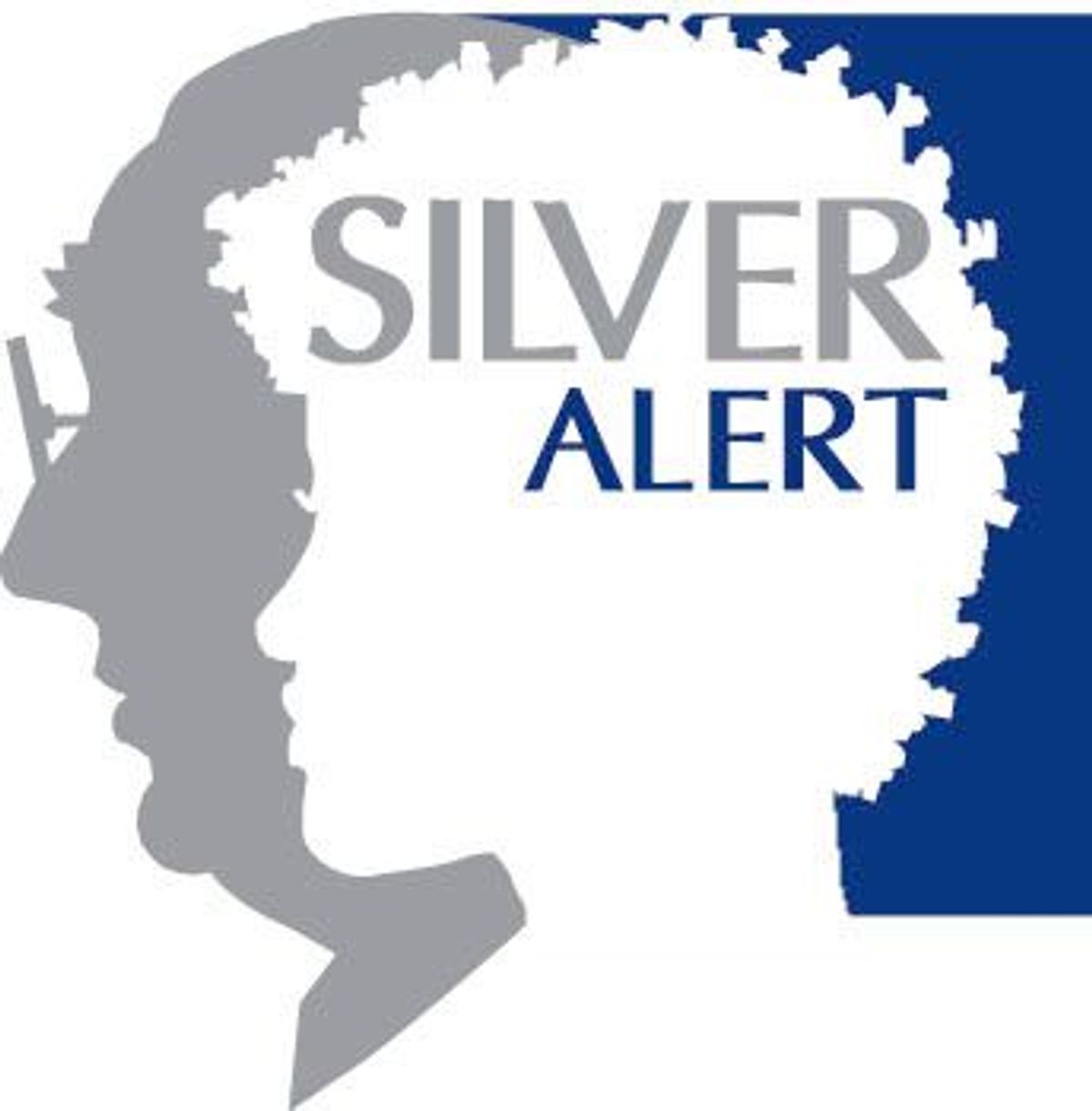 Silver Alert issued for missing Wilson County woman