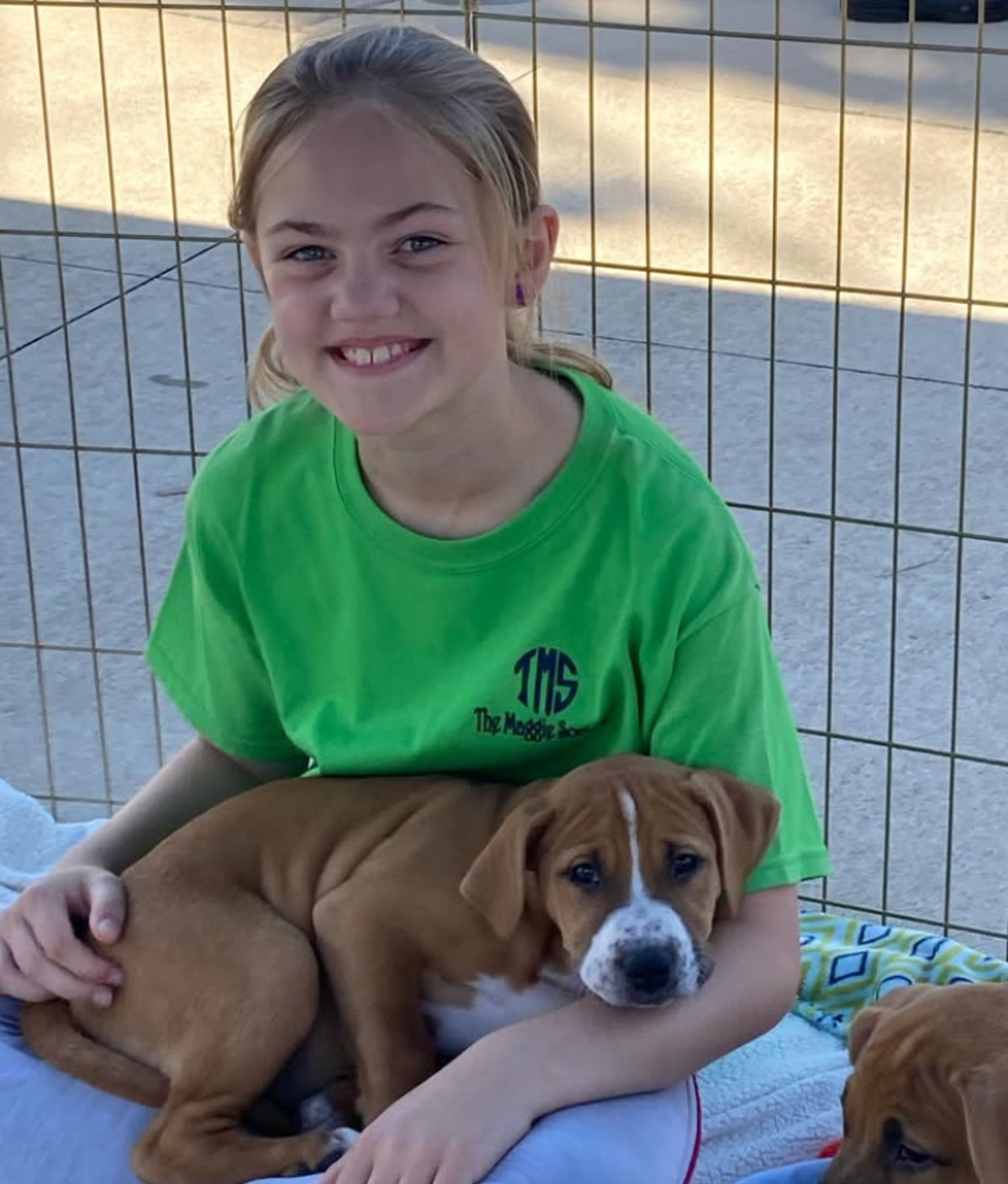 Saturday’s downtown events focus on dogs