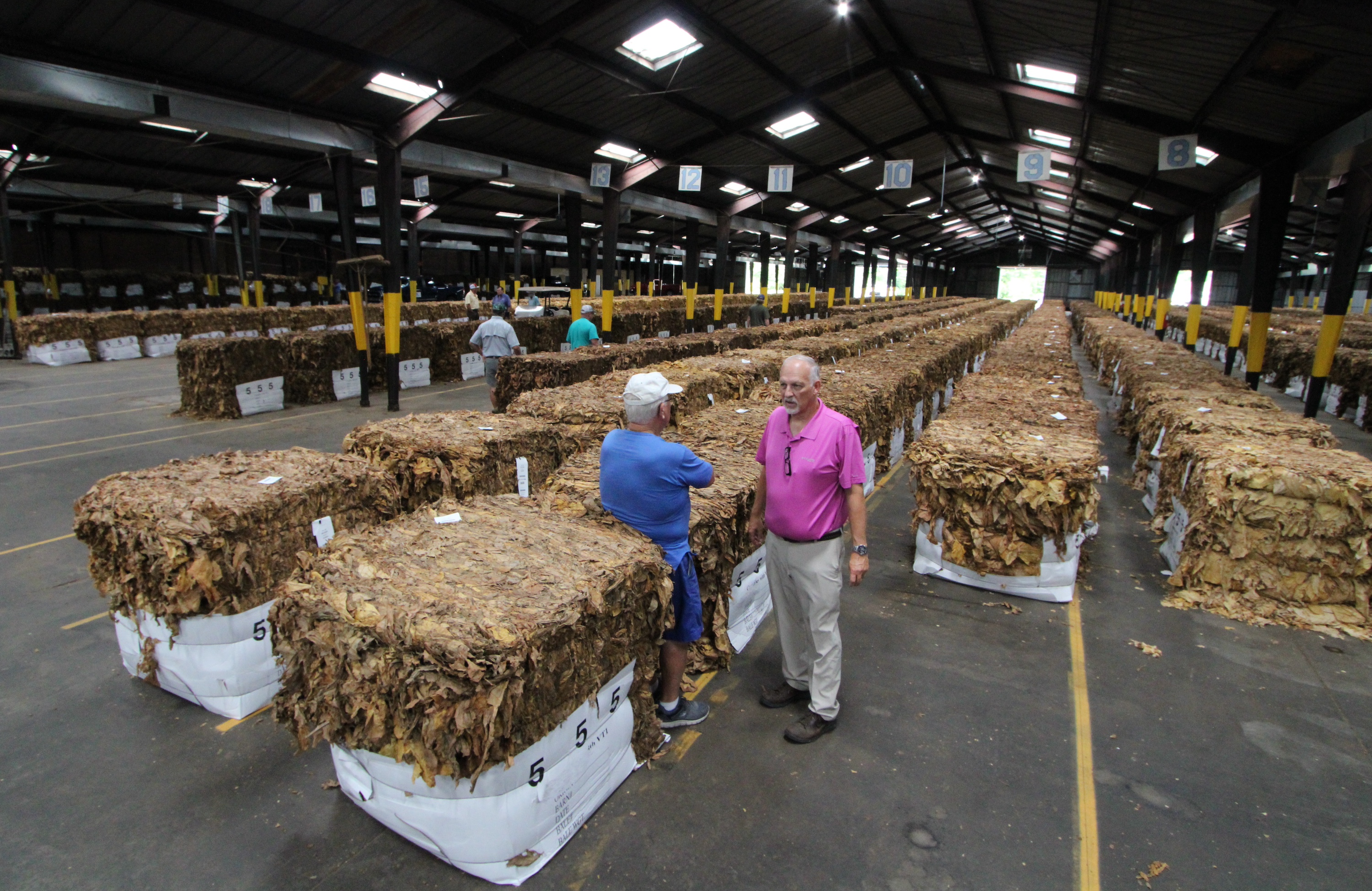 tobacco crop images Tobacco