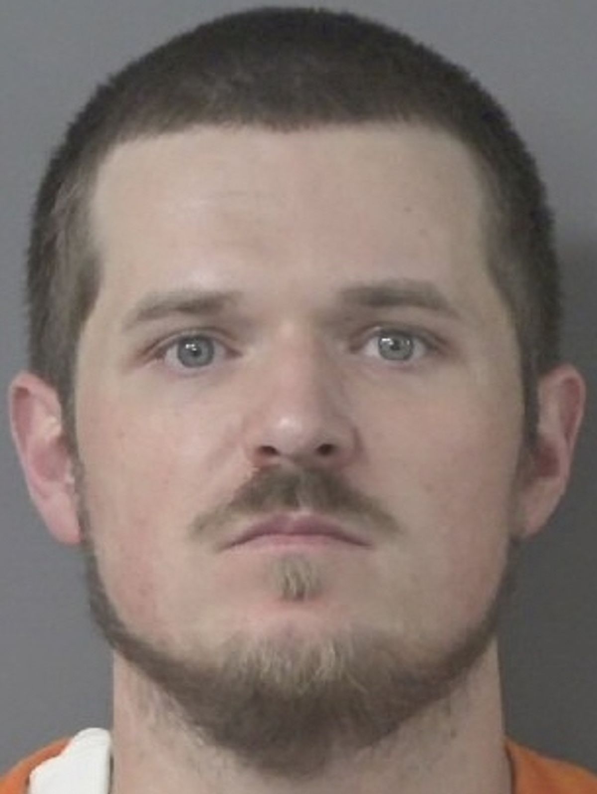 Gunfire during domestic dispute leads to arrest