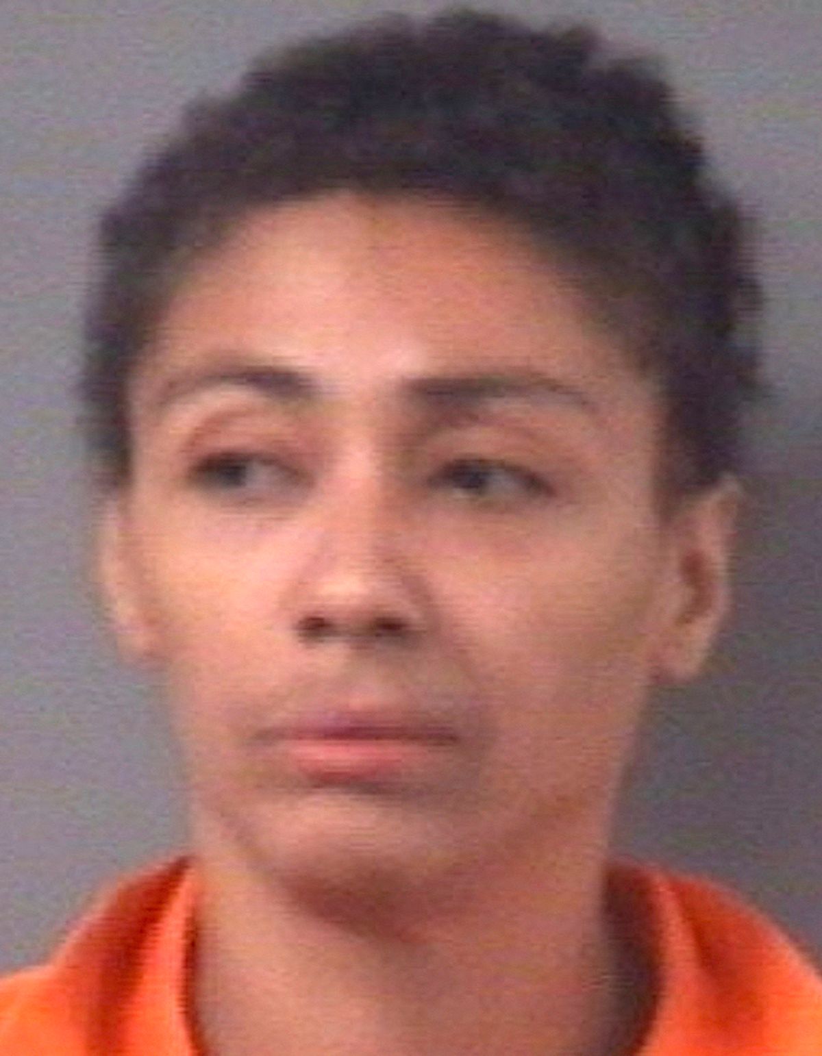 Woman charged with arson, indecent exposure