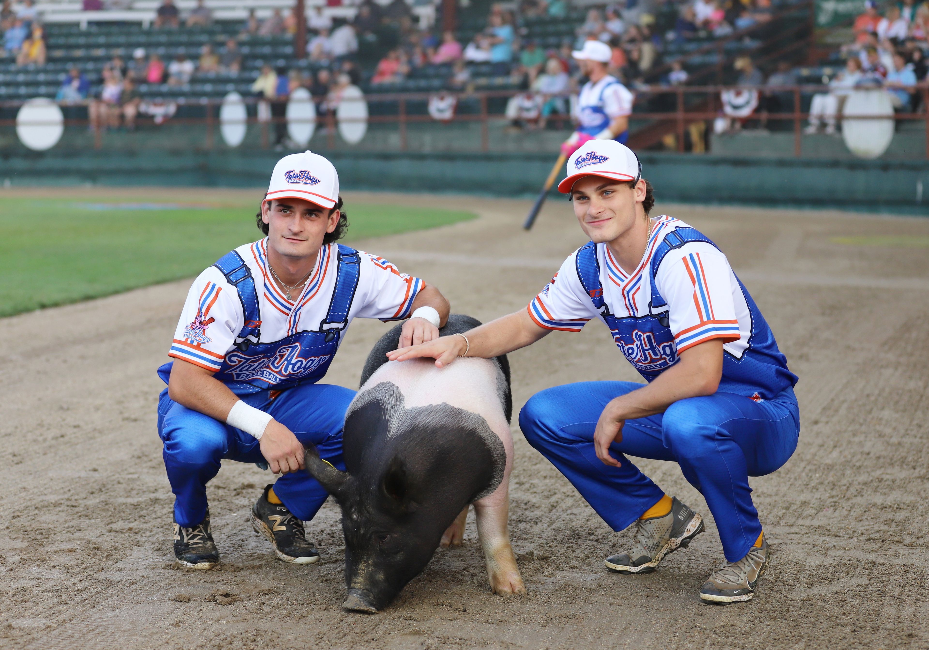 TaterHogs trot off Yard Gnomes 5-4 in bizarre Saturday finish