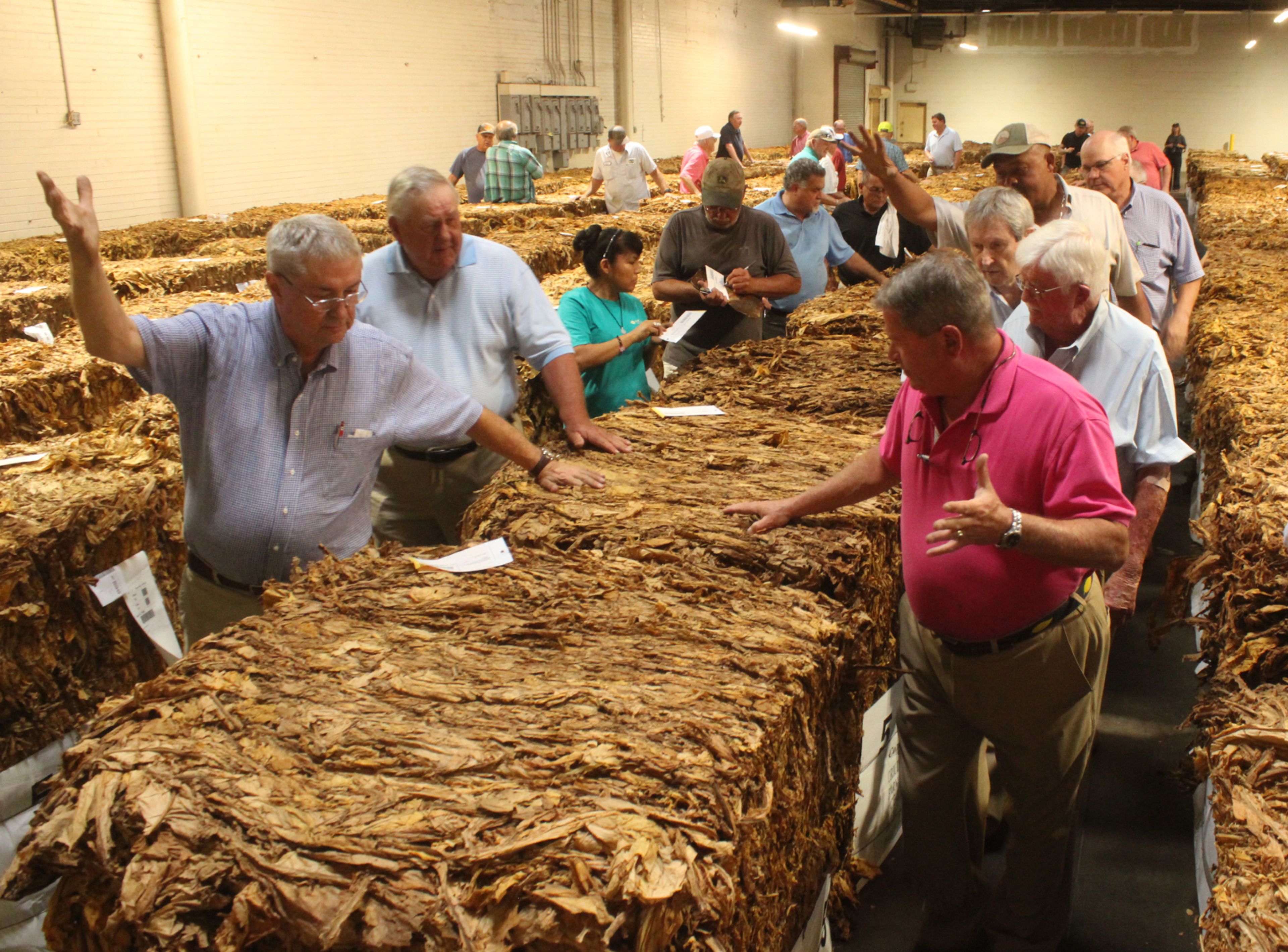 american tobacco employment This is what built Wilson': Tobacco opening day sees higher