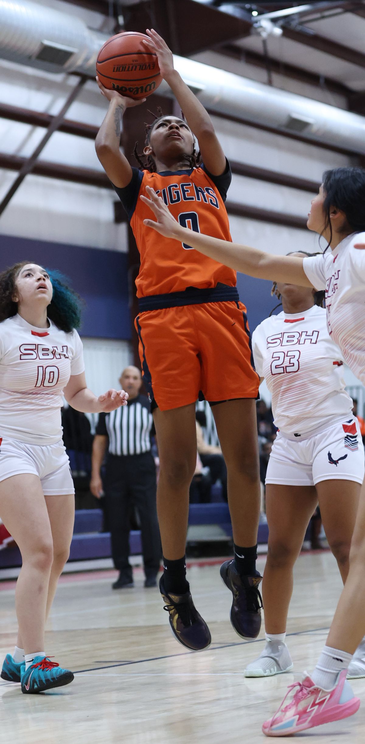 AREA ROUNDUP: Tigers take first ECAC title in unbeaten fashion