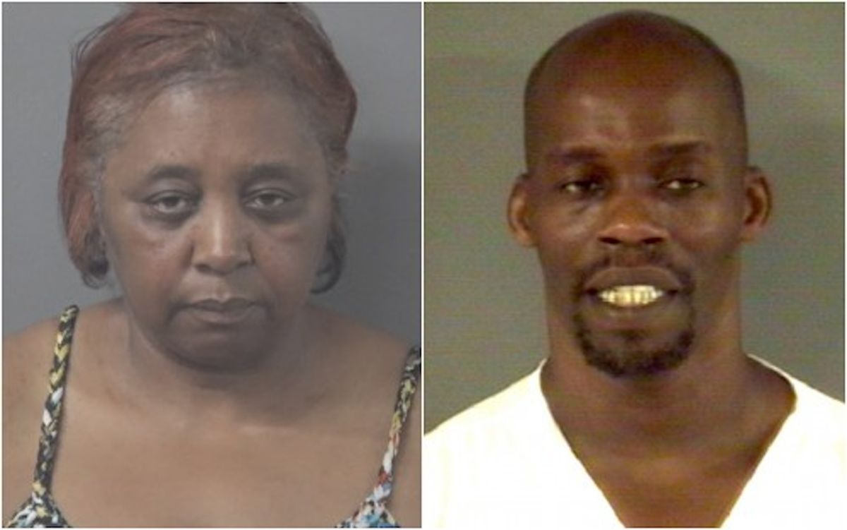 Two charged with animal cruelty