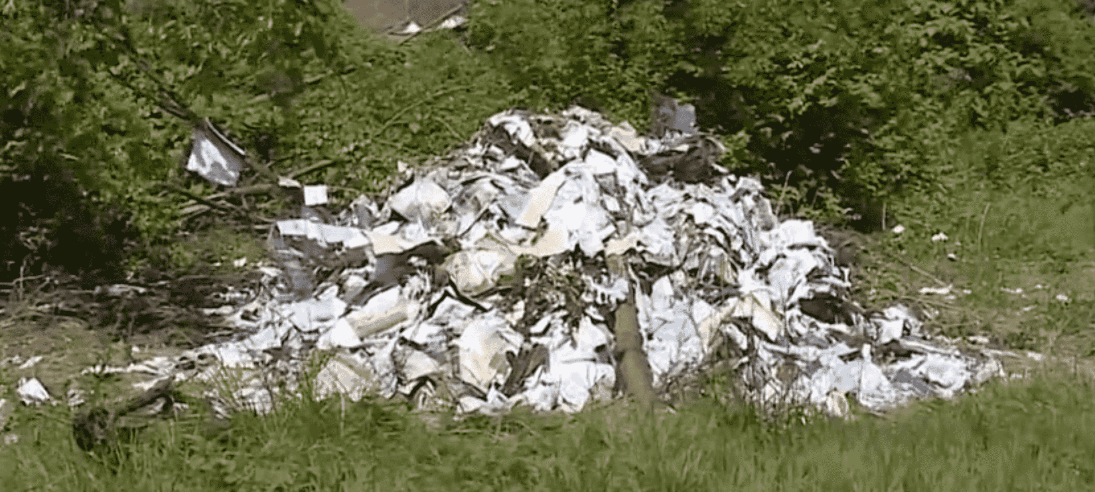 A massive collection of undelivered mail was discovered in a vacant lot in North St. Louis, presumably abandoned by a sorting facility or staff. The contents are unknown and have likely been destroyed by prolonged exposure to the elements.