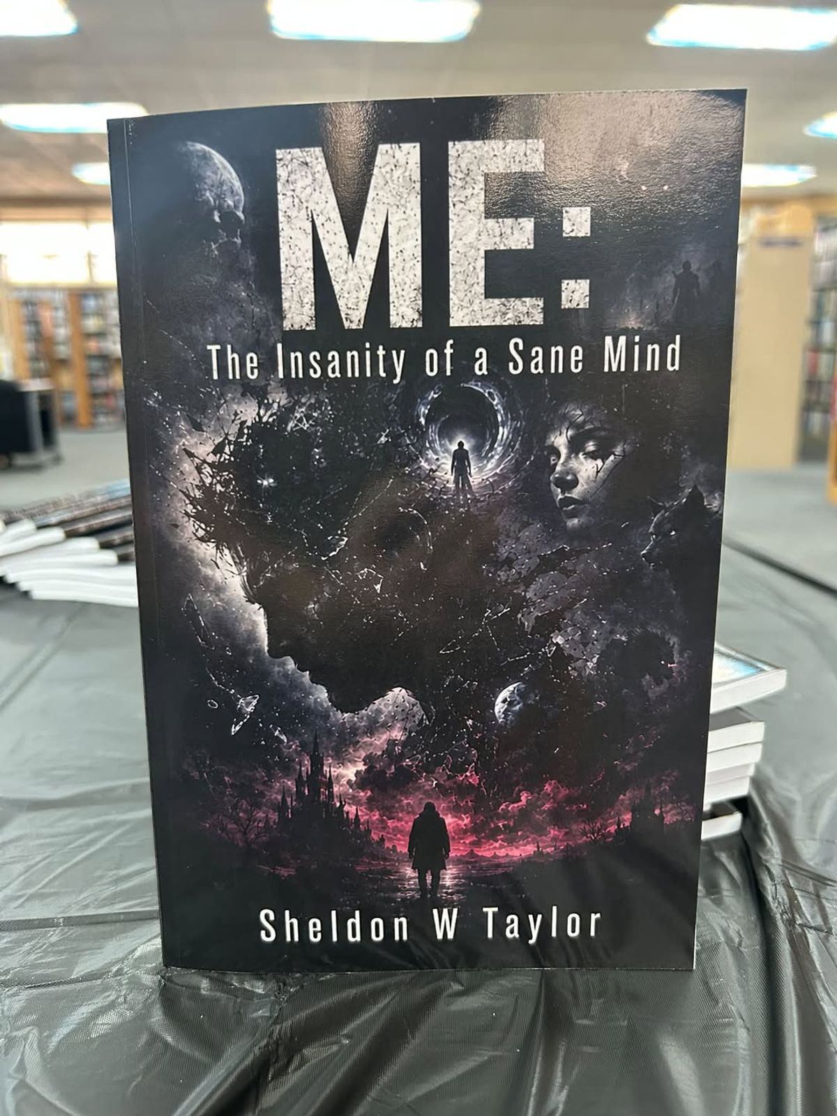 Farmington author plans sequel after publishing ME: The Insa...