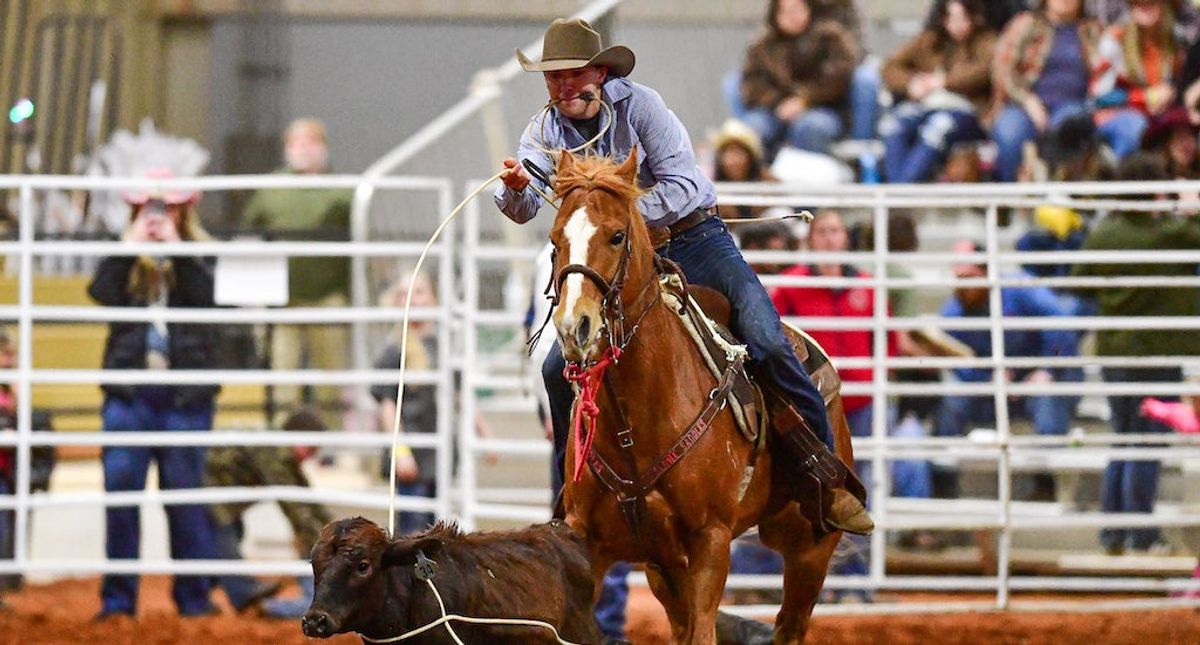 Calera Main Street announces first-ever Calera Stampede PCA Rodeo