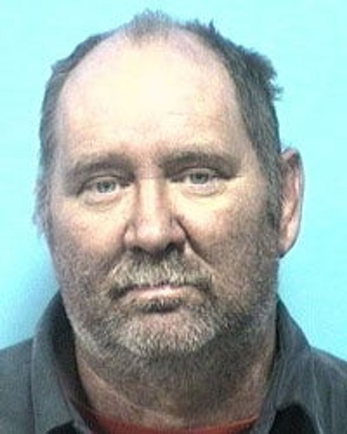 Registered sex offender charged with sexual abuse, indecent ...