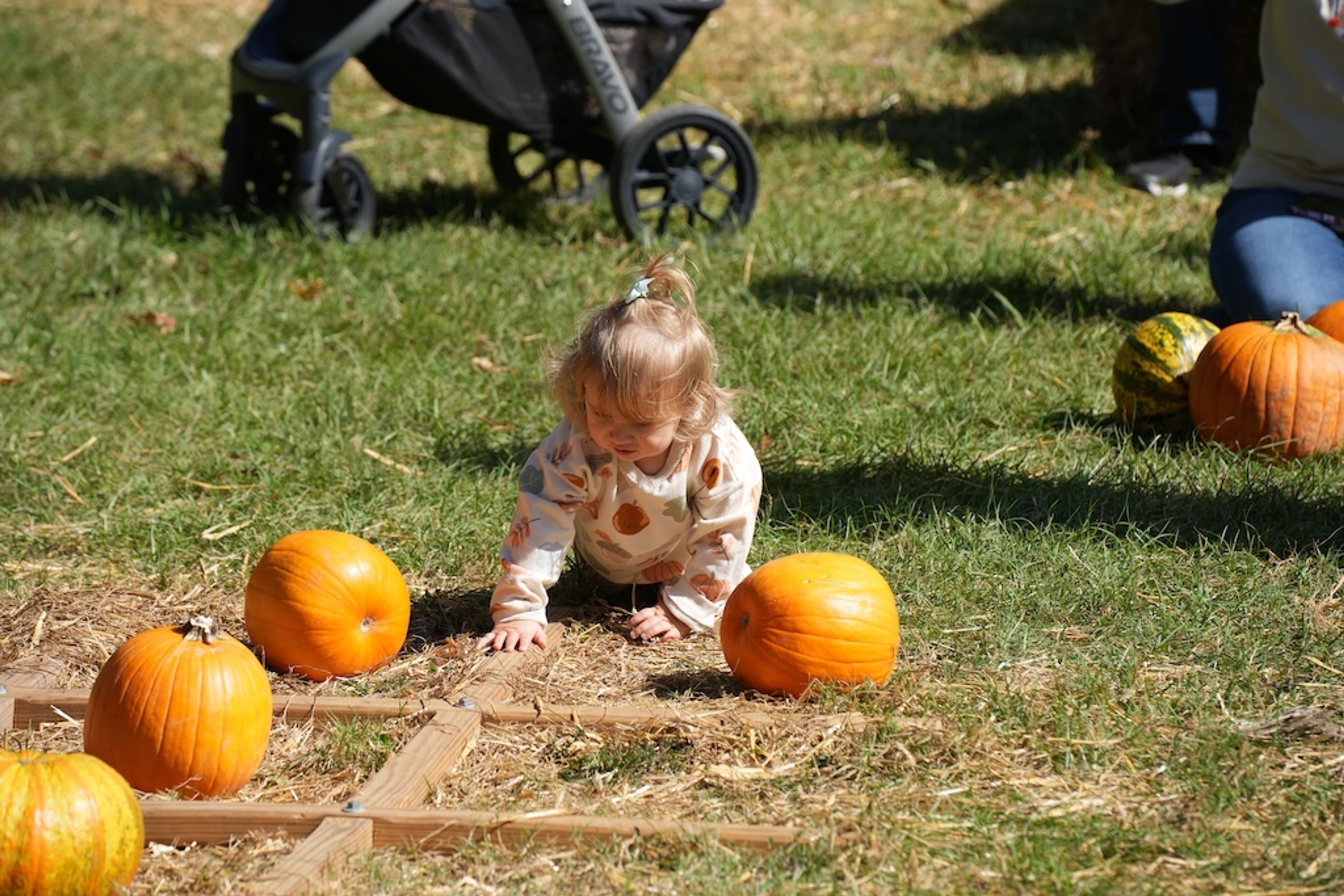 Oak Mountain State Park Harvest Festival brings families, local vendors together