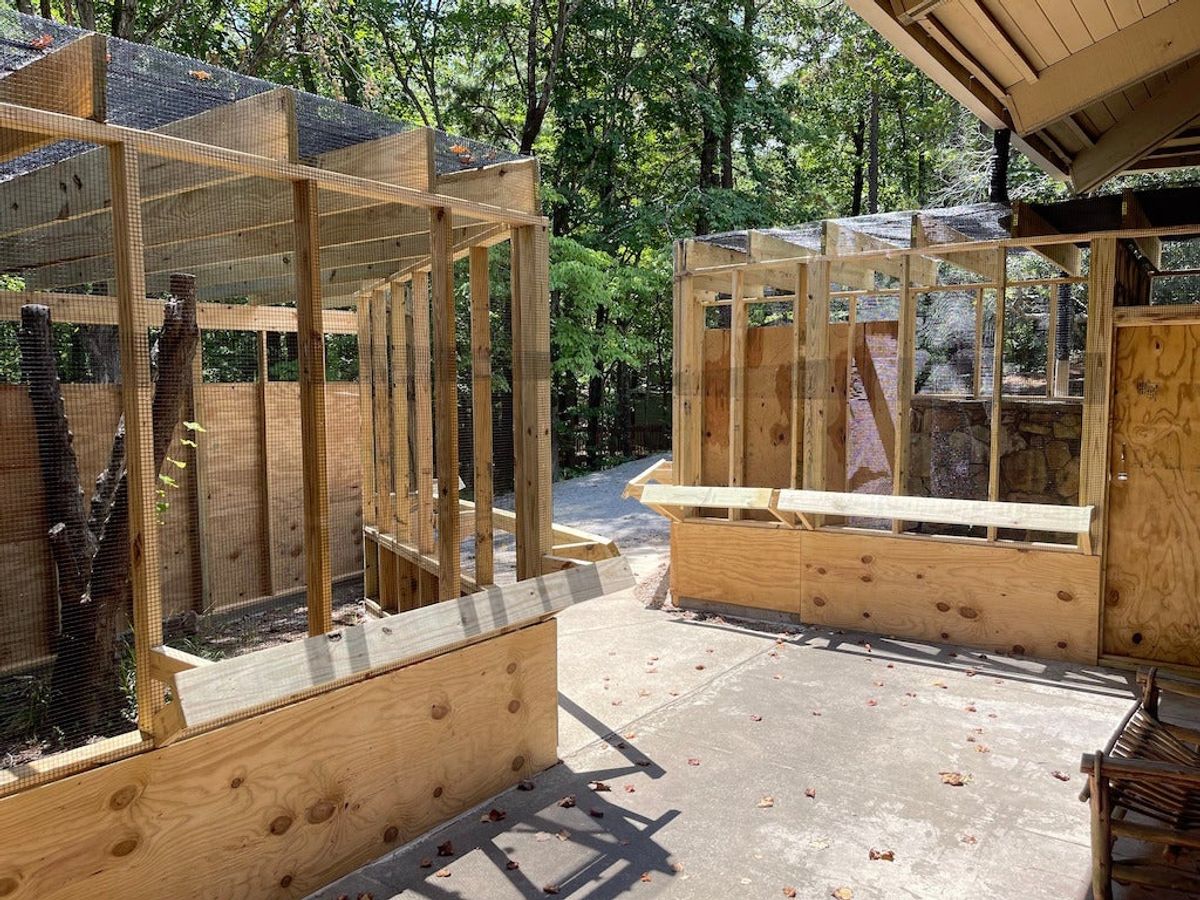 Curated visual reference: Picture Idea: Alabama Wildlife Center To Unveil New Aviaries For Birds Of