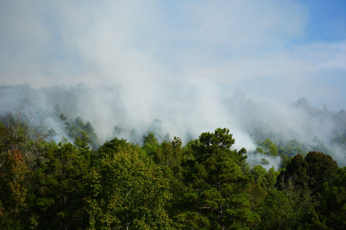 Blue Fire Trail Oak Mountain wildfire contained as park reopens trails