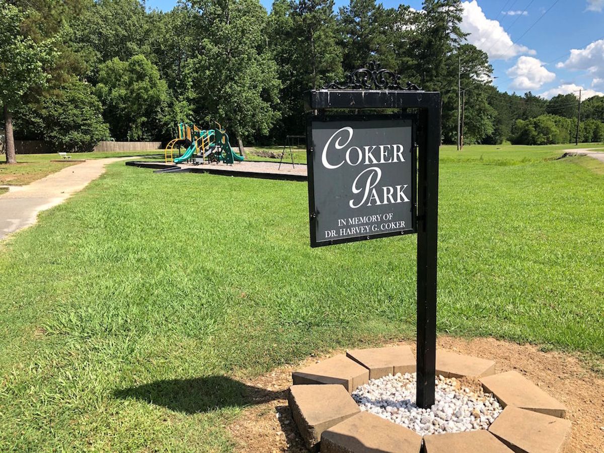 Pelham's first disc golf course coming soon to Coker Park