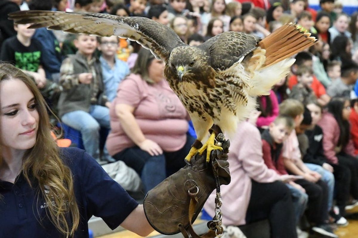 CMS hosts Auburn Raptor Center for bird show