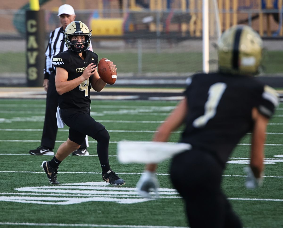 Argus-Press Game of the Week Preview: Corunna, Chesaning bat...