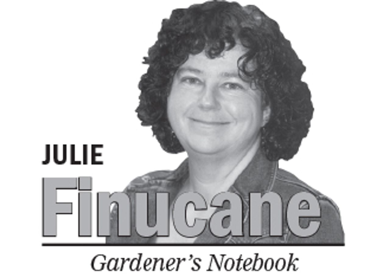 Spring Notebook Landscape Gardener’s Notebook: Get a head start on next year’s vegetab...