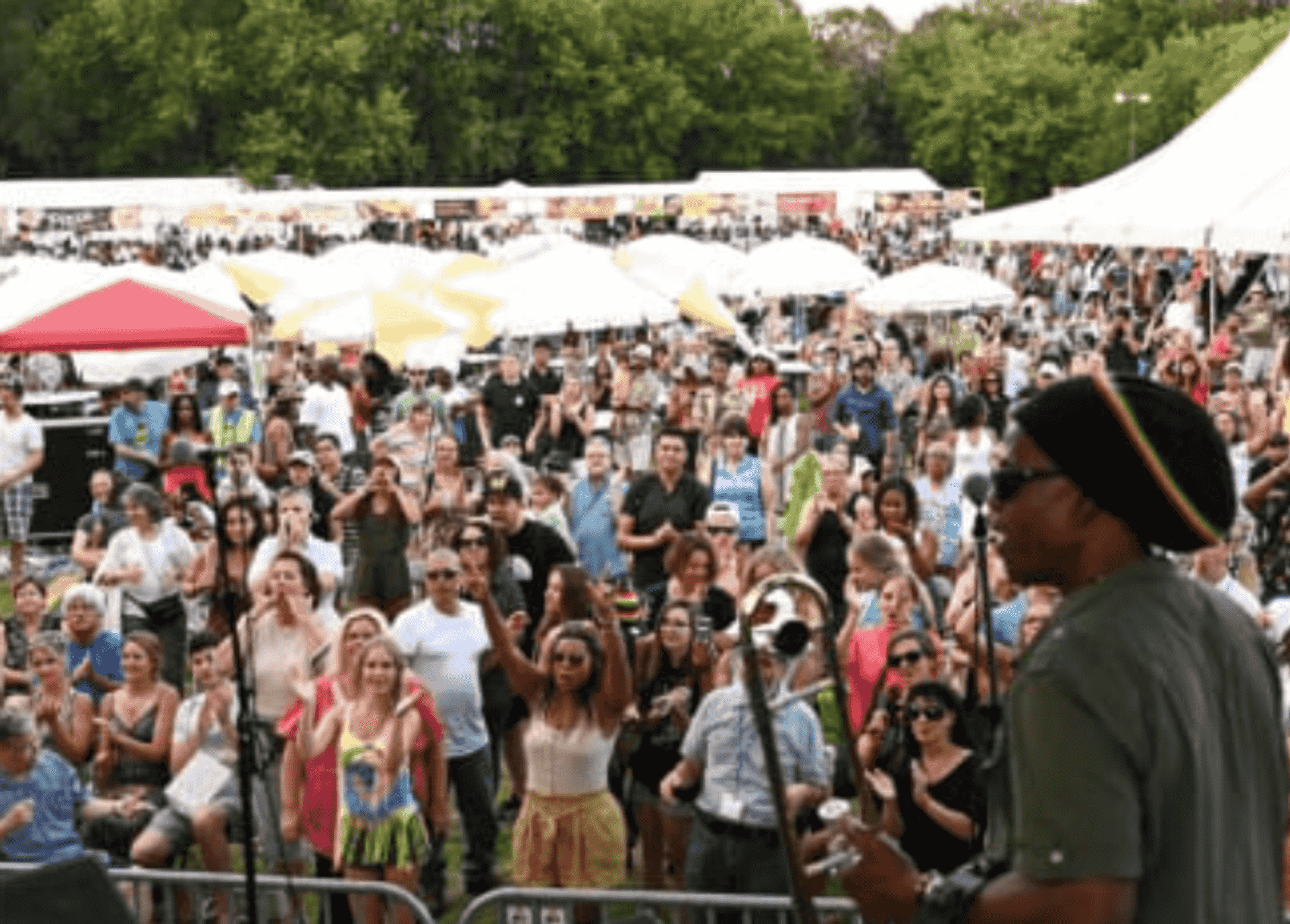 Best Things to Do With Kids in Chicago This Weekend