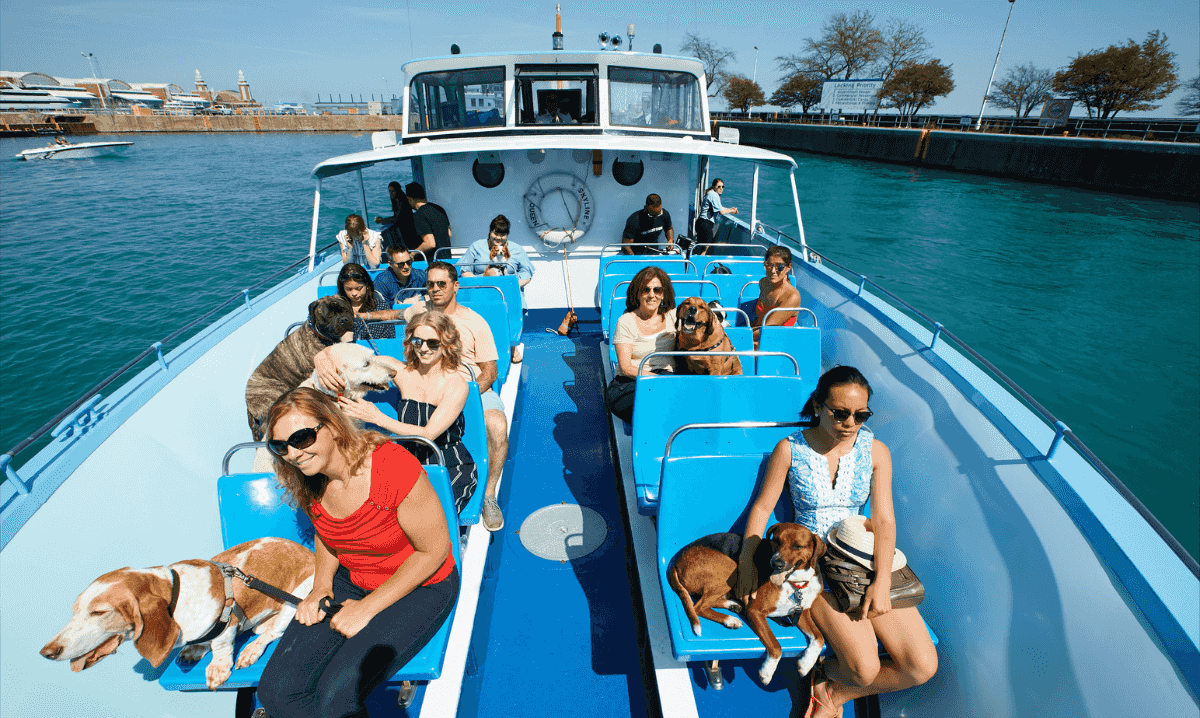 Hit the water with these unique boat tours for families