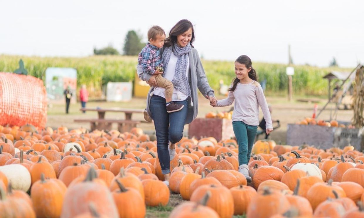 Best Fall Festivals for Families Near Skokie
