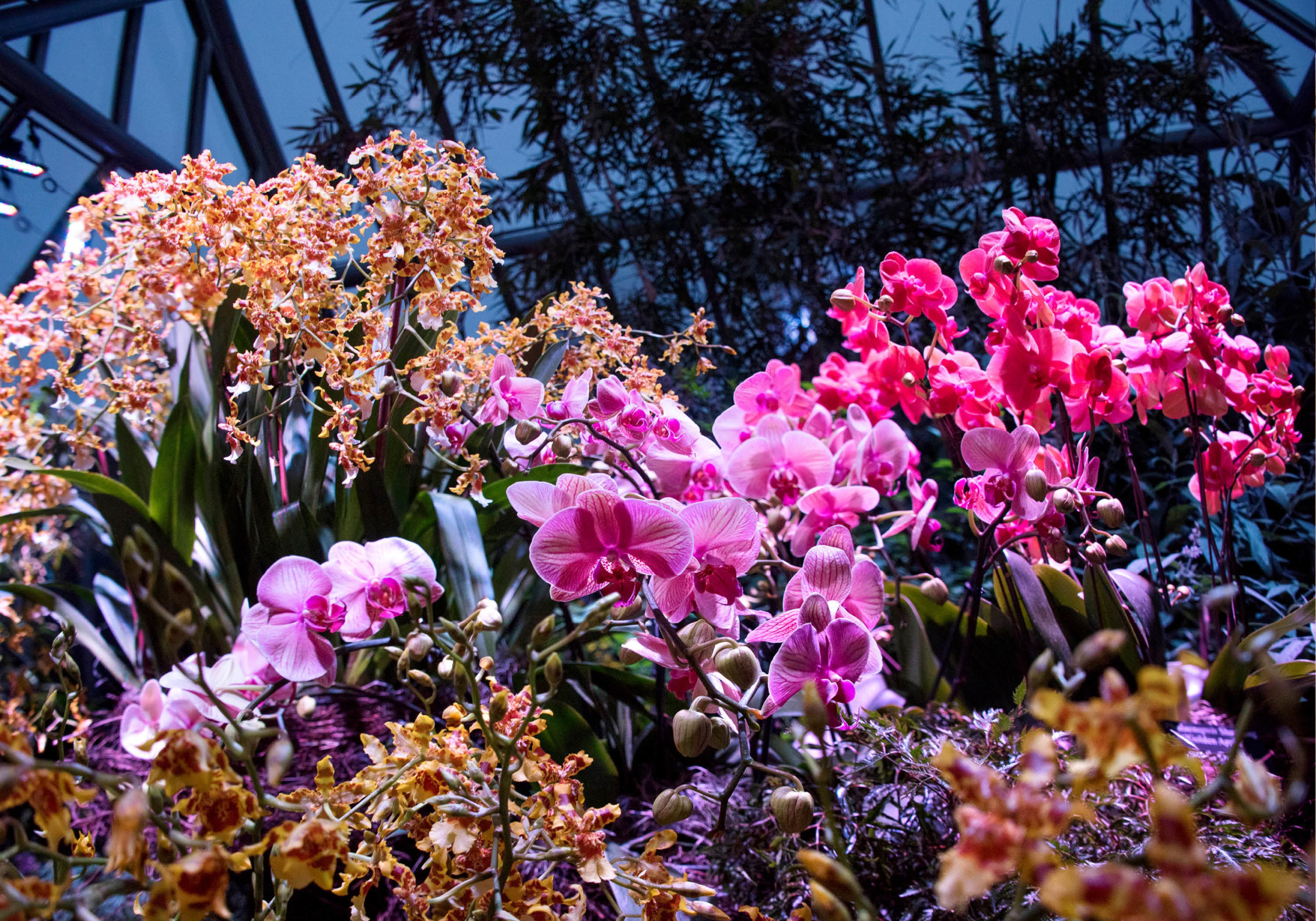 7 date night ideas to keep you warm all winter