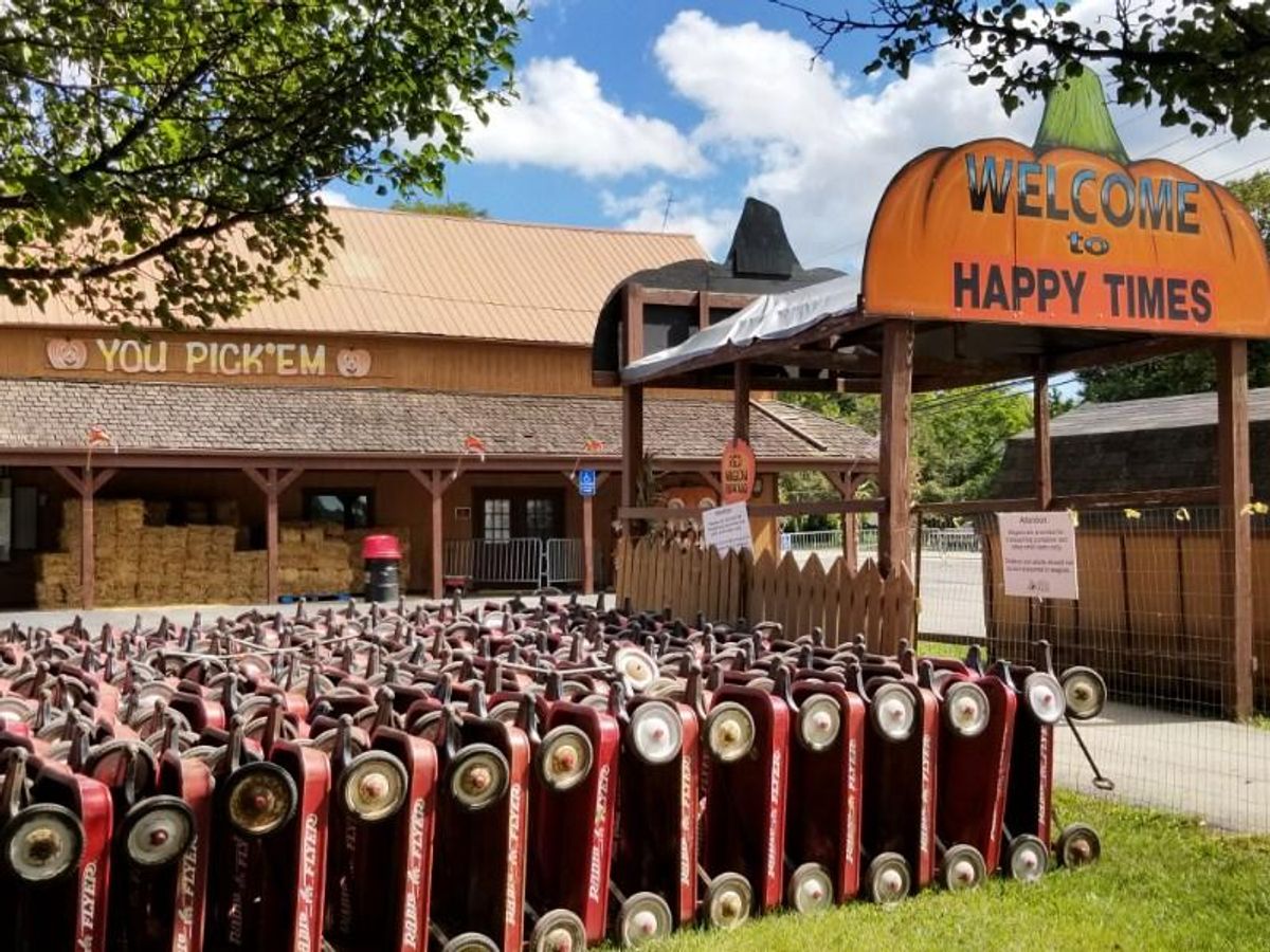 Happy Times Pumpkinfest is back in Chicago on Sept. 16