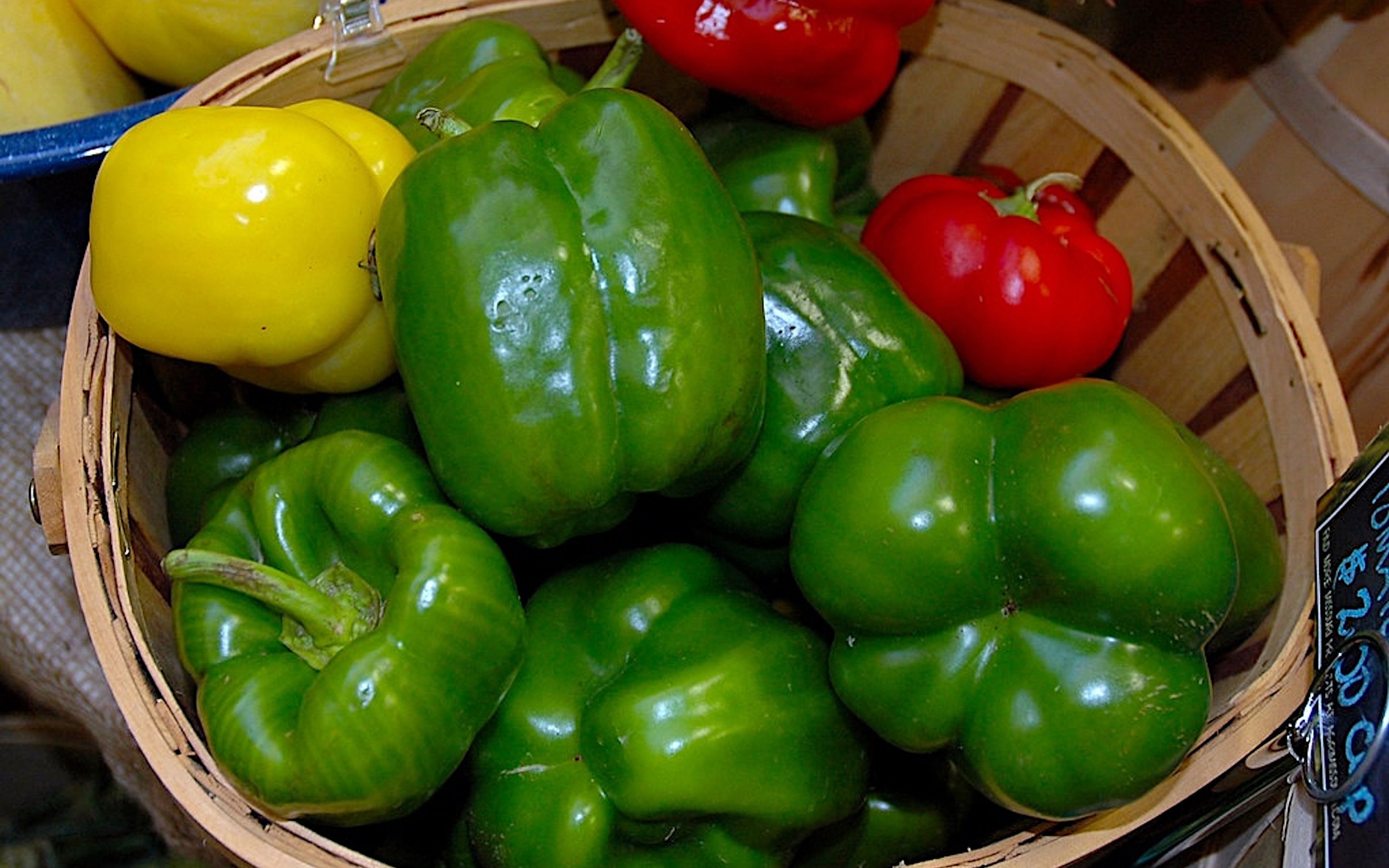 Discover the colorful world of sweet peppers—easy to grow, nutritious, and perfect for containers
