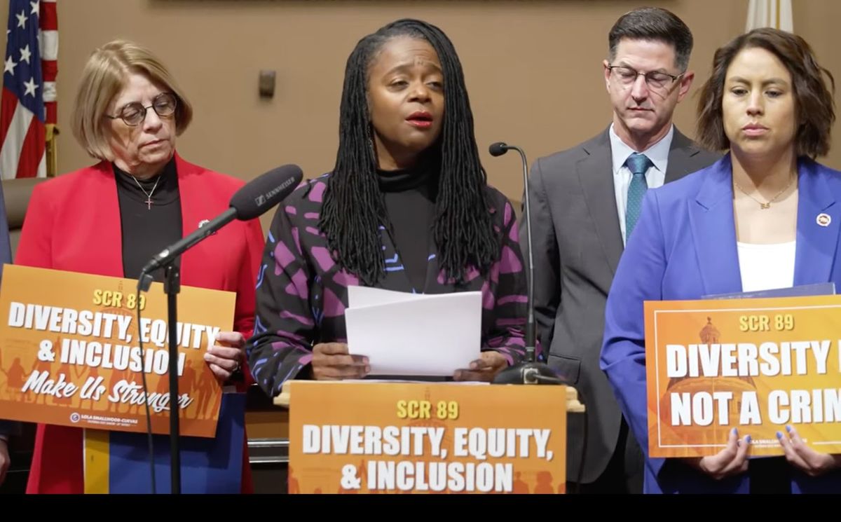 California Lawmakers, Advocates Rally To Affirm DEI
