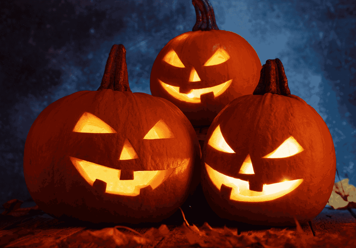 Sacramento Events: Reggae, Comedy and Halloween Fun