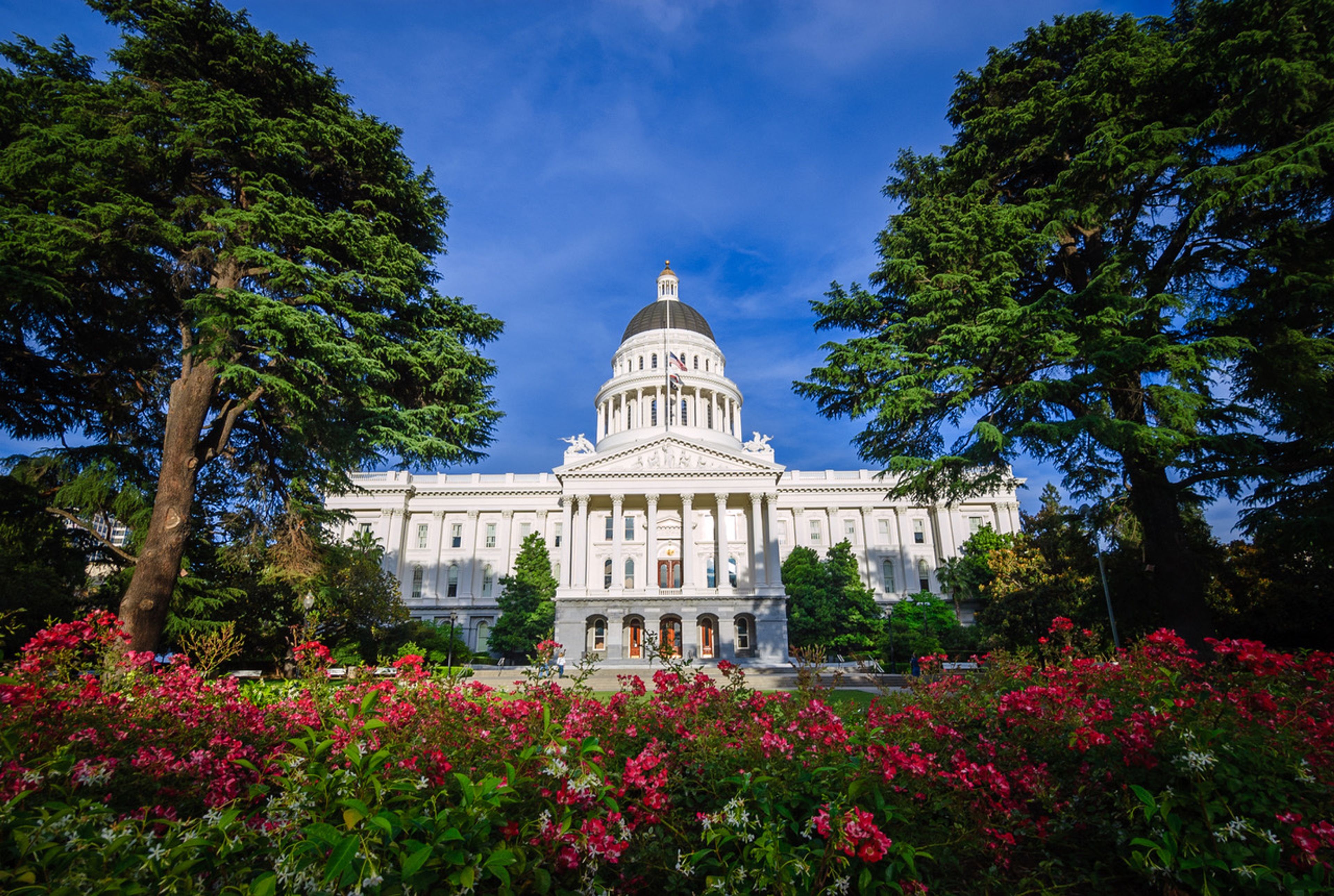 Capitol Roundup: California Debates Hate Speech, Diaper Aid, AI Rules  