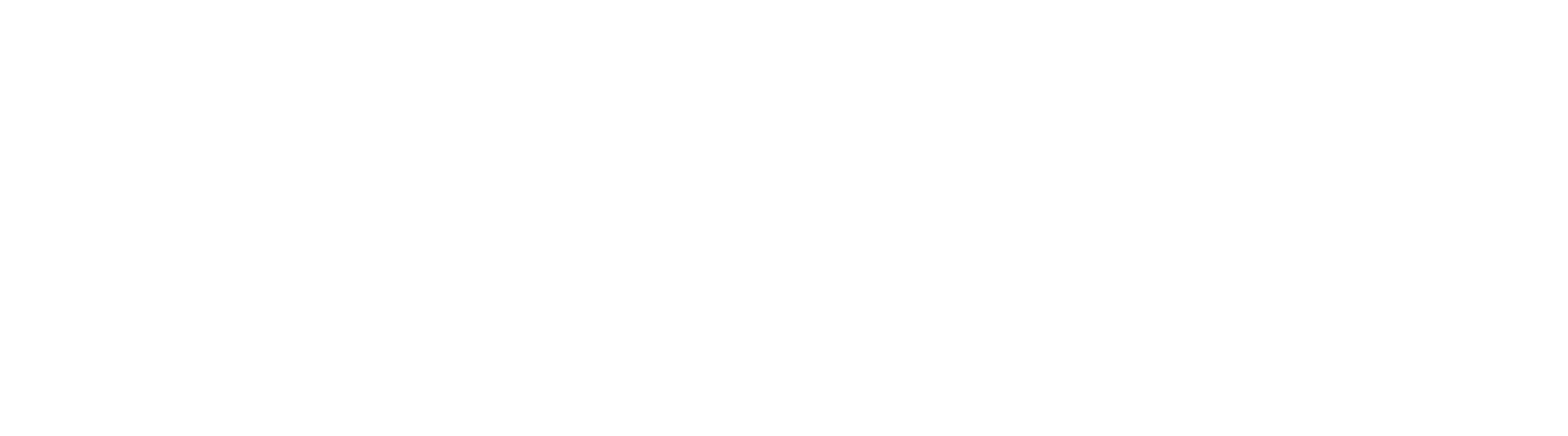 Site Footer Logo