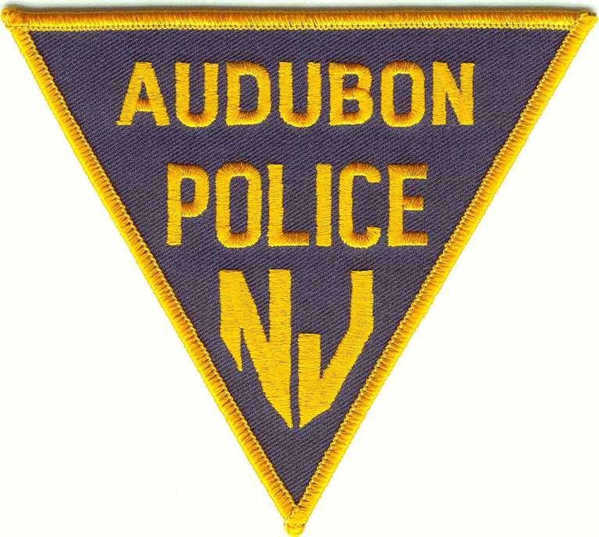 Suspects Flee After Series of Shoplifting Incidents at Audubon Marshalls