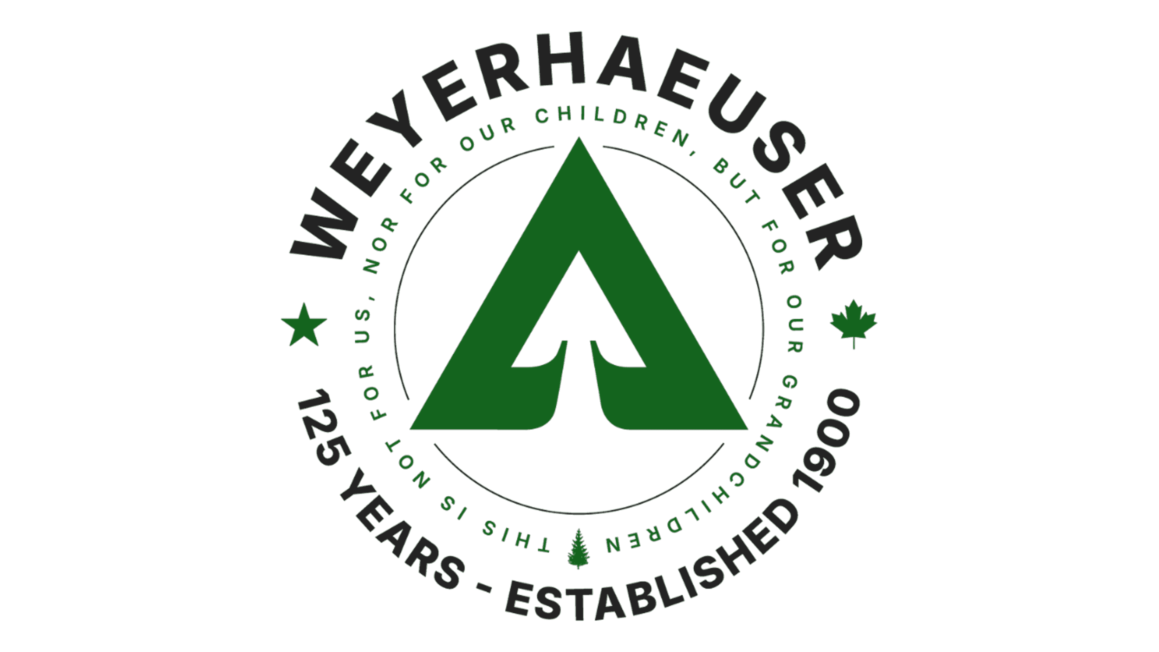 Weyerhaeuser launches $4 Million road project