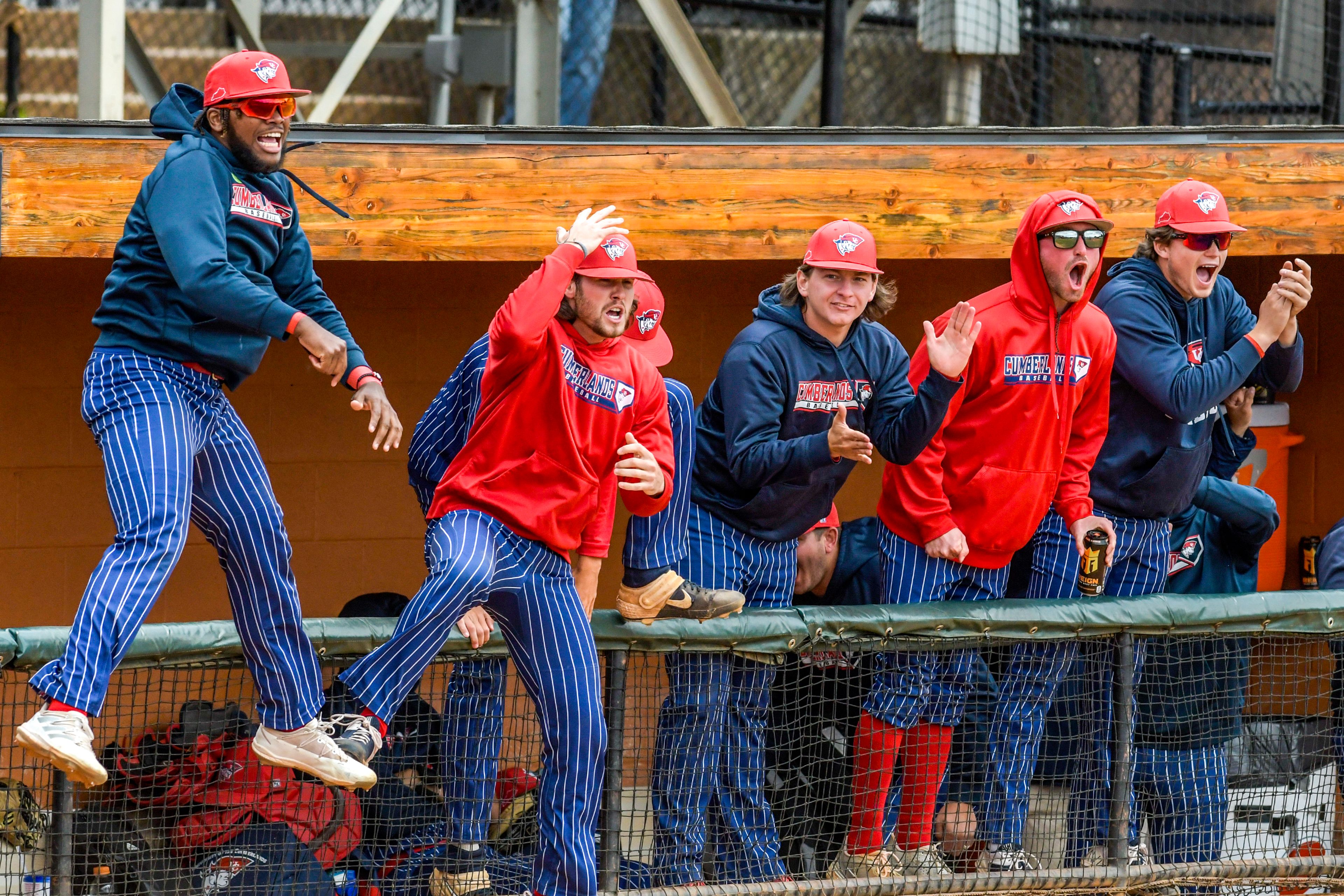 Cumberlands celebrates a home run against William Carey in game 6 of the NAIA World Series at Harris Field on Saturday in Lewiston.