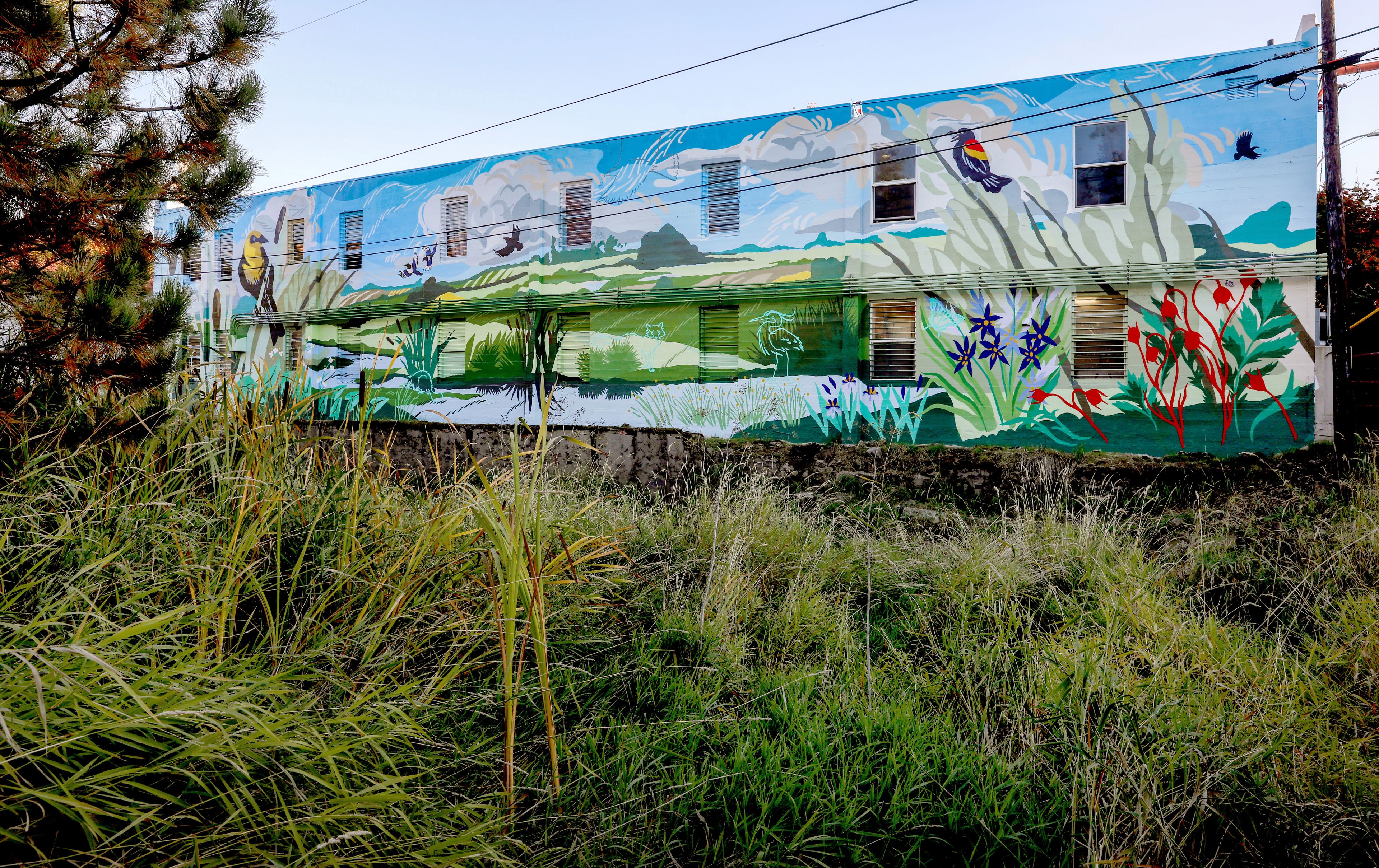 The finished mural is visible from the Downtown Pullman Riverwalk, on the back side of the building that holds Thomas Hammer Coffee Roasters.