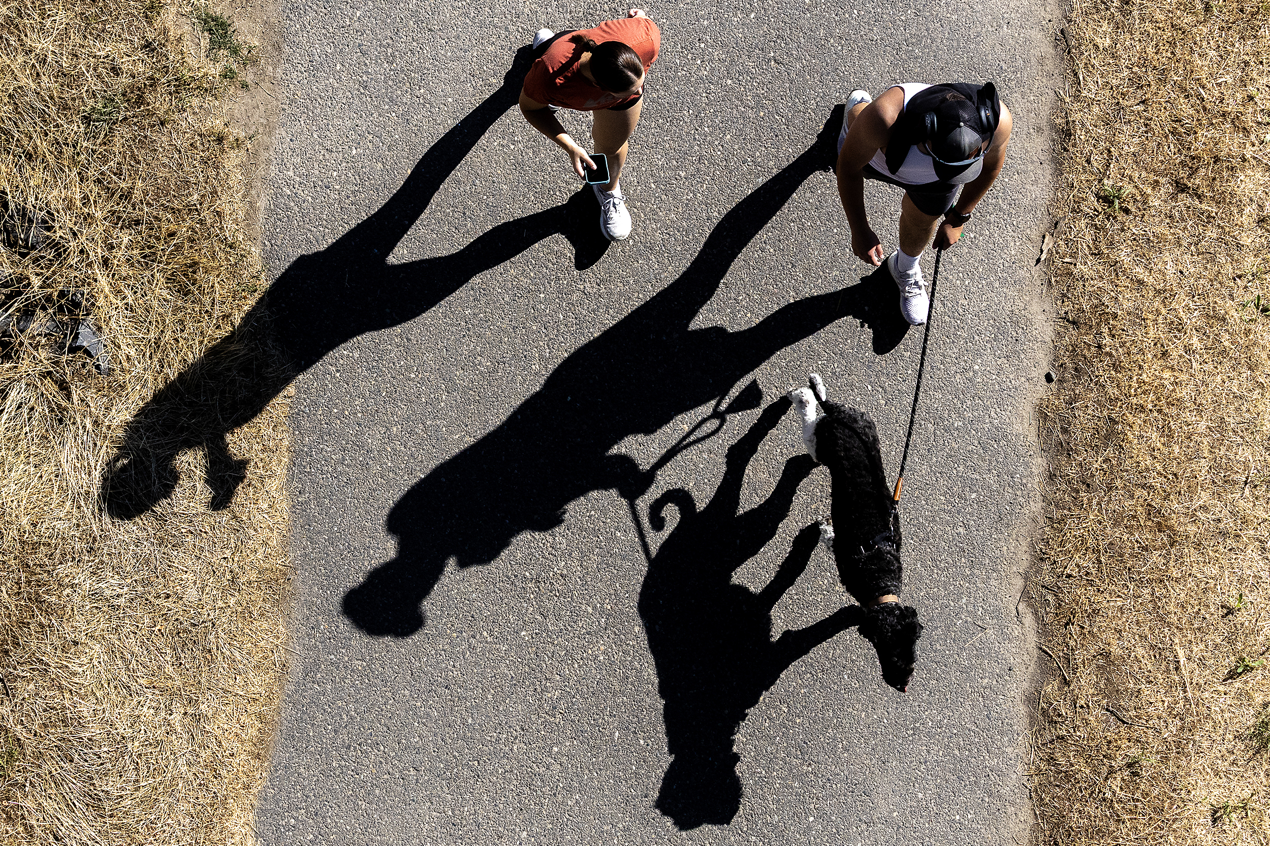 Us and our shadows