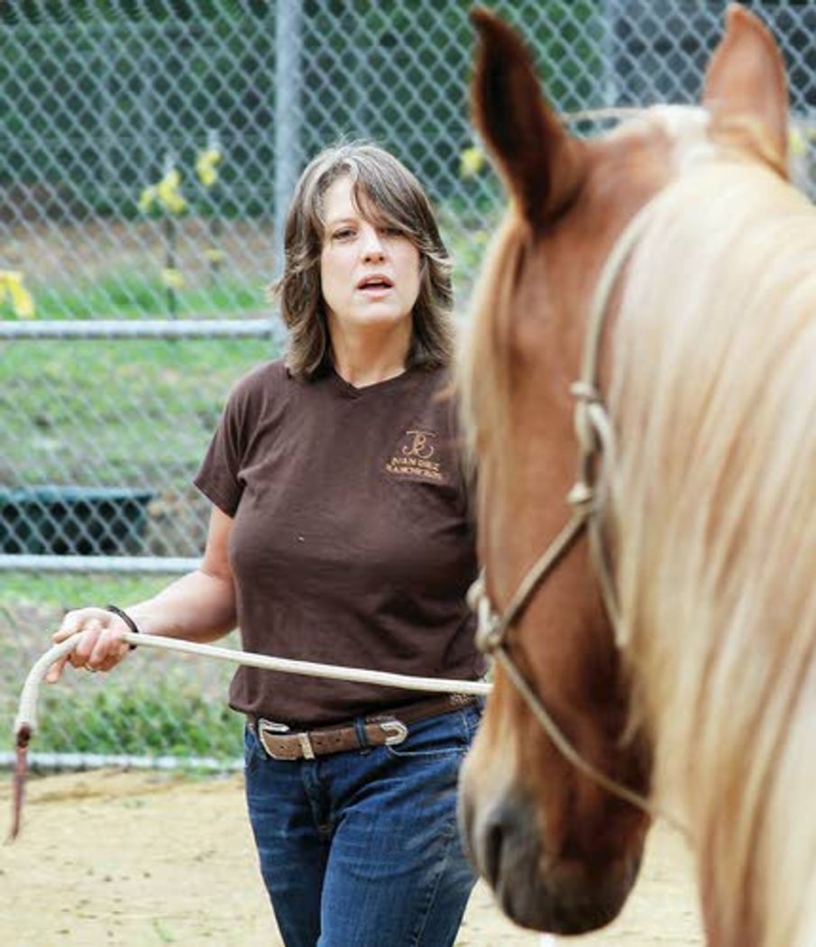 Horses helping to heal