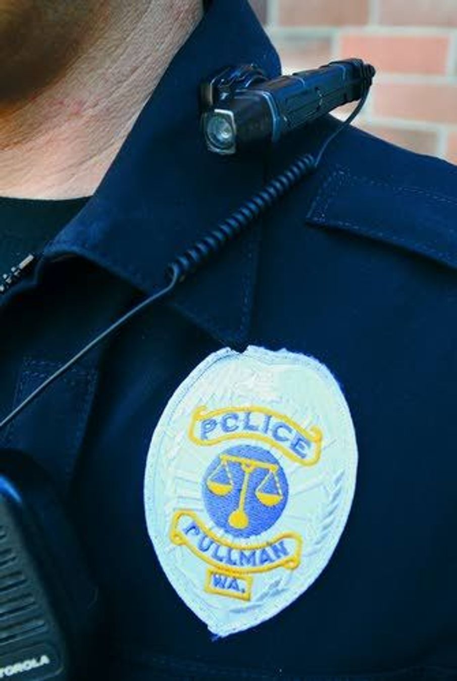 Cops' body cameras prove popular