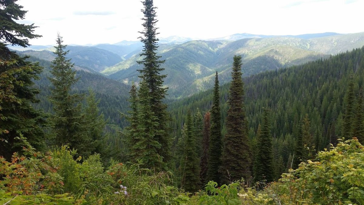 Idaho land becomes a constitutional issue