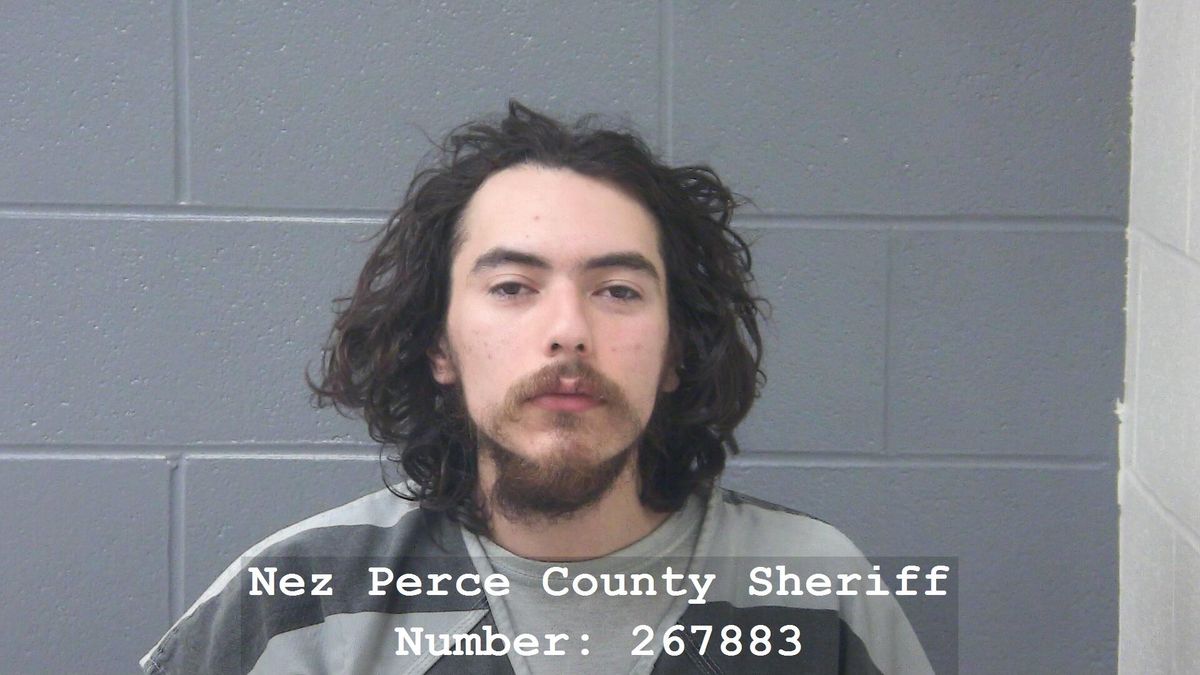 Lewiston man pleads guilty to false bomb report