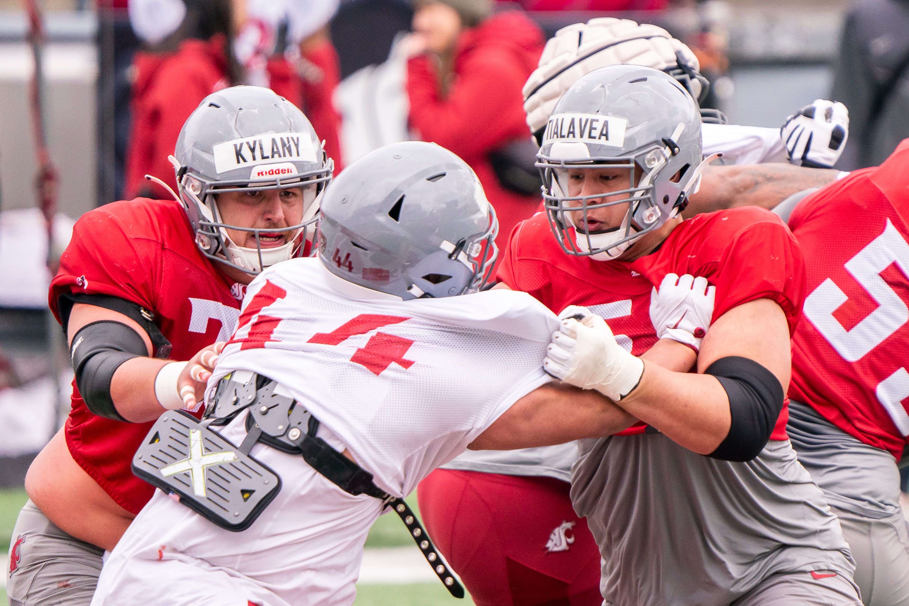 Washington State�s Devin Kylany, left, and Rodrick Tialavea, right, block Khalil Laufau, center, during their scrimmage on April 6, 2024, at Gesa Field in Pullman. ,