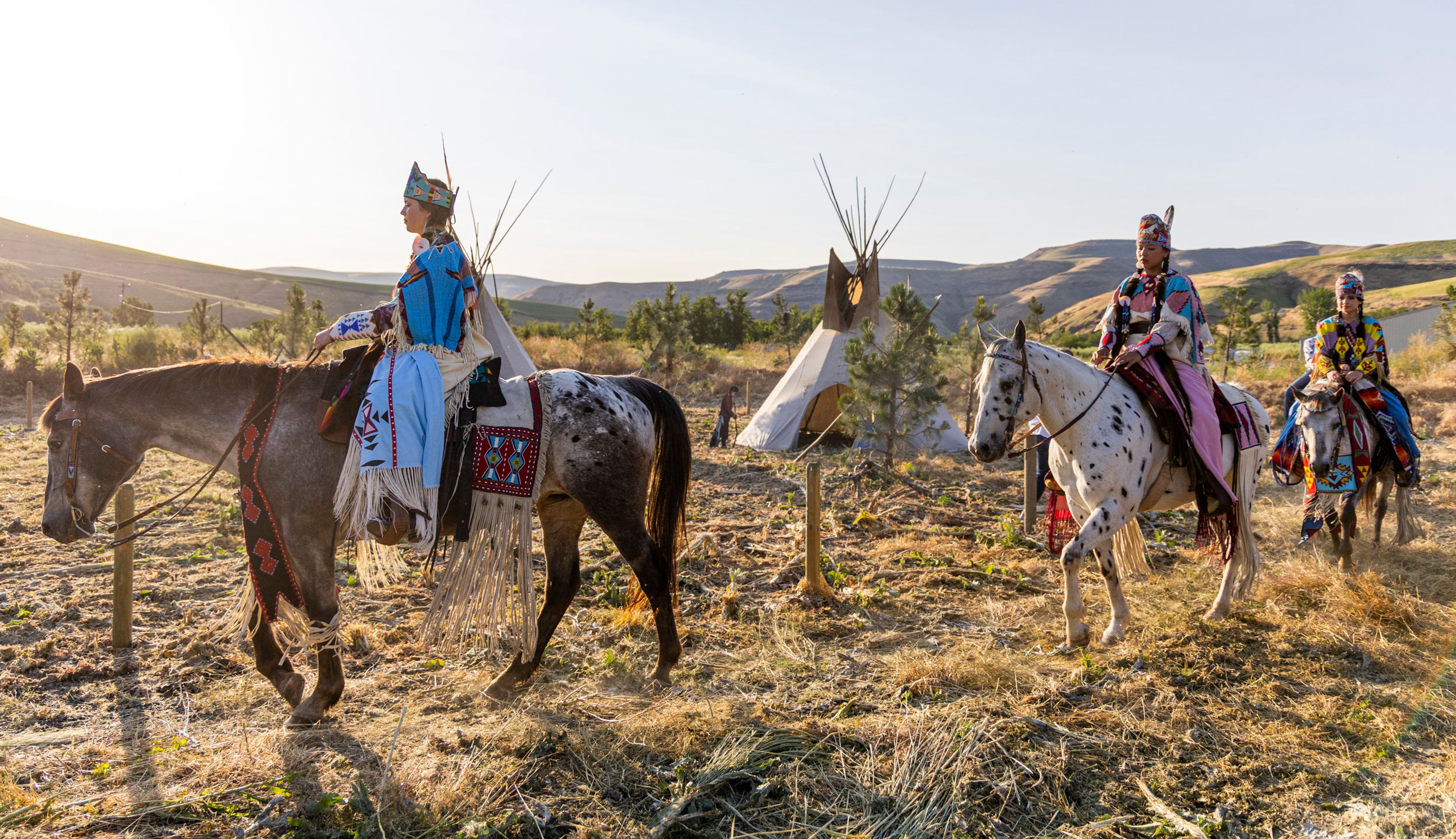 Riding the appaloosa to prosperity - home hero image