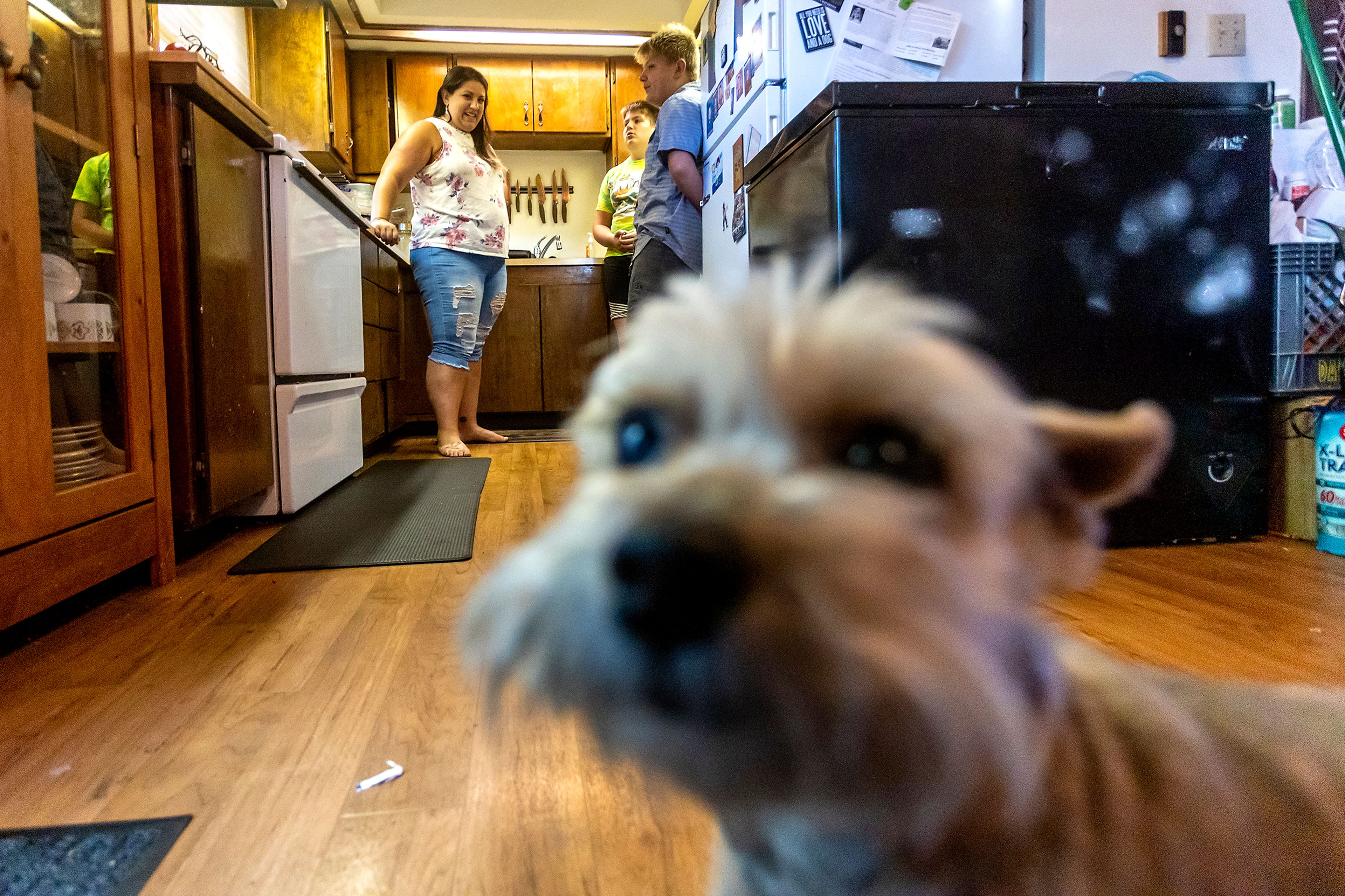 Aimee Martinez stands in the kitchen with her sons Alex and Tony Poulsen as their dog, Gracie, or Grayboo, walks through the house on Friday.