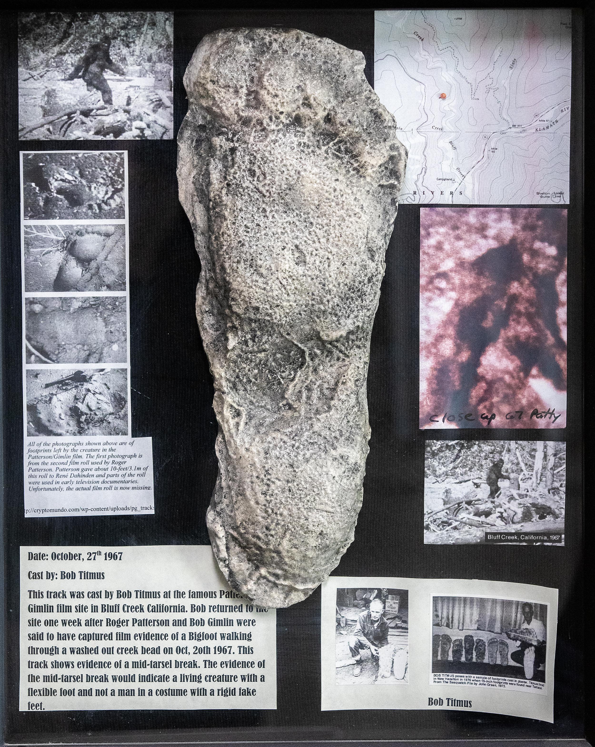 FaB Phantasmal Footsteps RF MON 1枚 Moscow man sells Bigfoot collection to museum