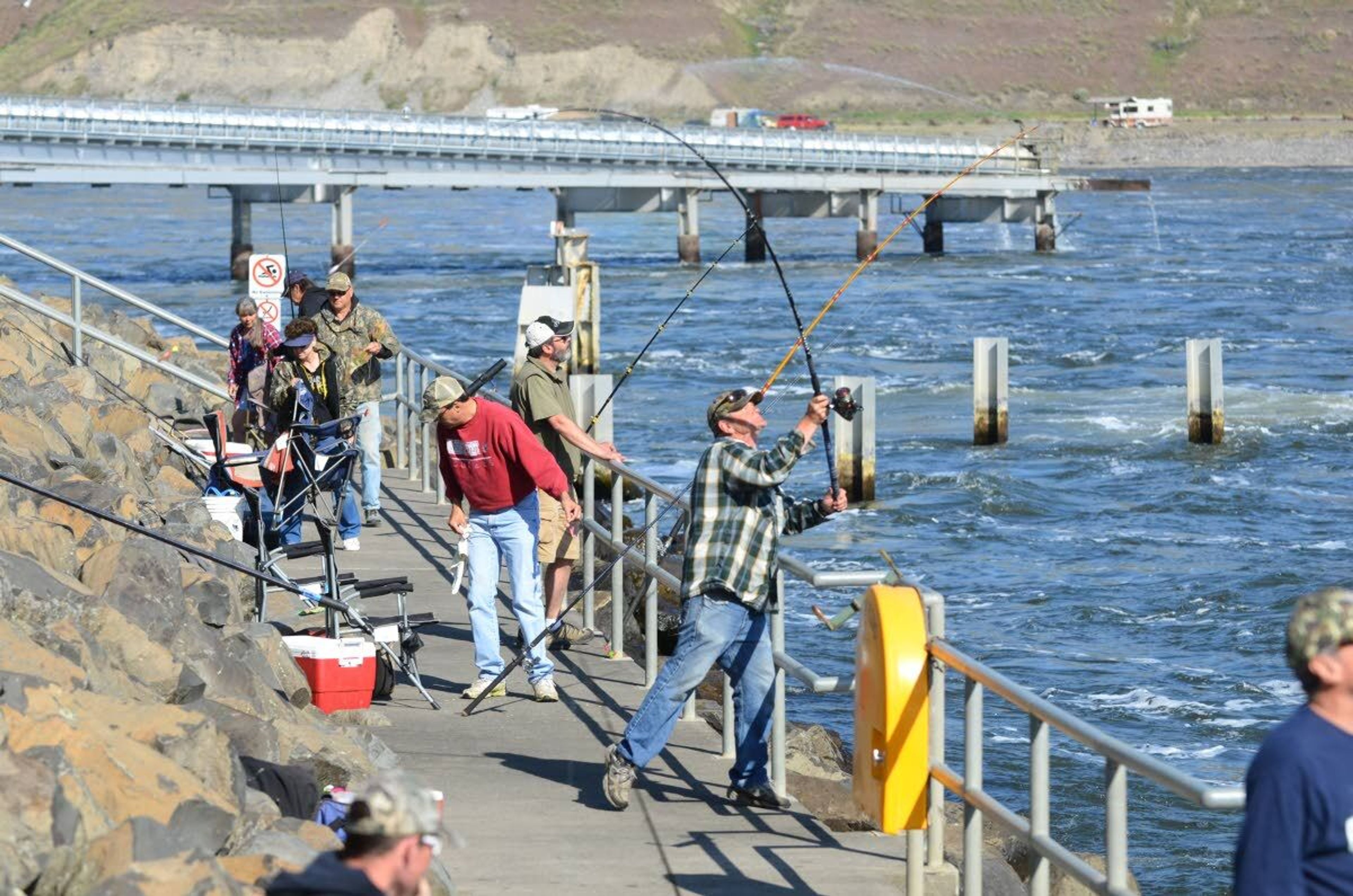 Anglers fish for spring chinook below Little Goose Dam on the Snake River in this file photo from 2014. The area will reopen for chinook fishing for a single day on Friday, Washington officials announced today.