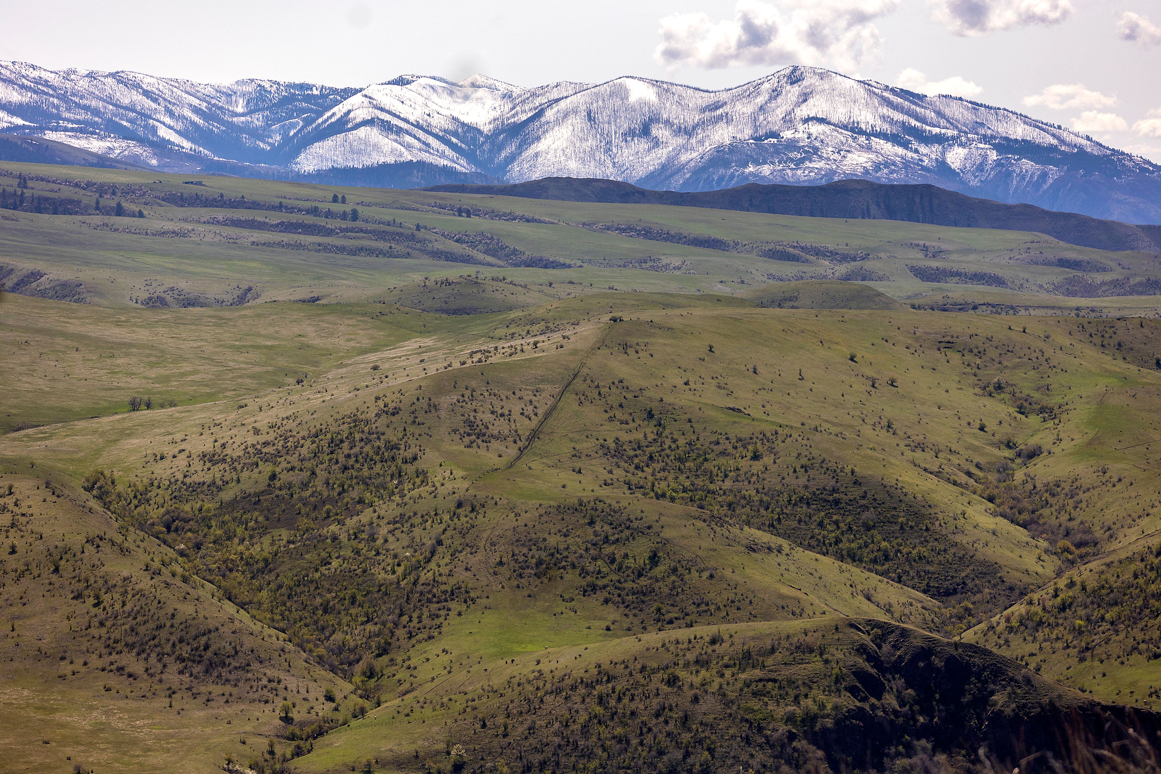 Snowcapped hills are pictured in the distance past the White Bird Battlefield.