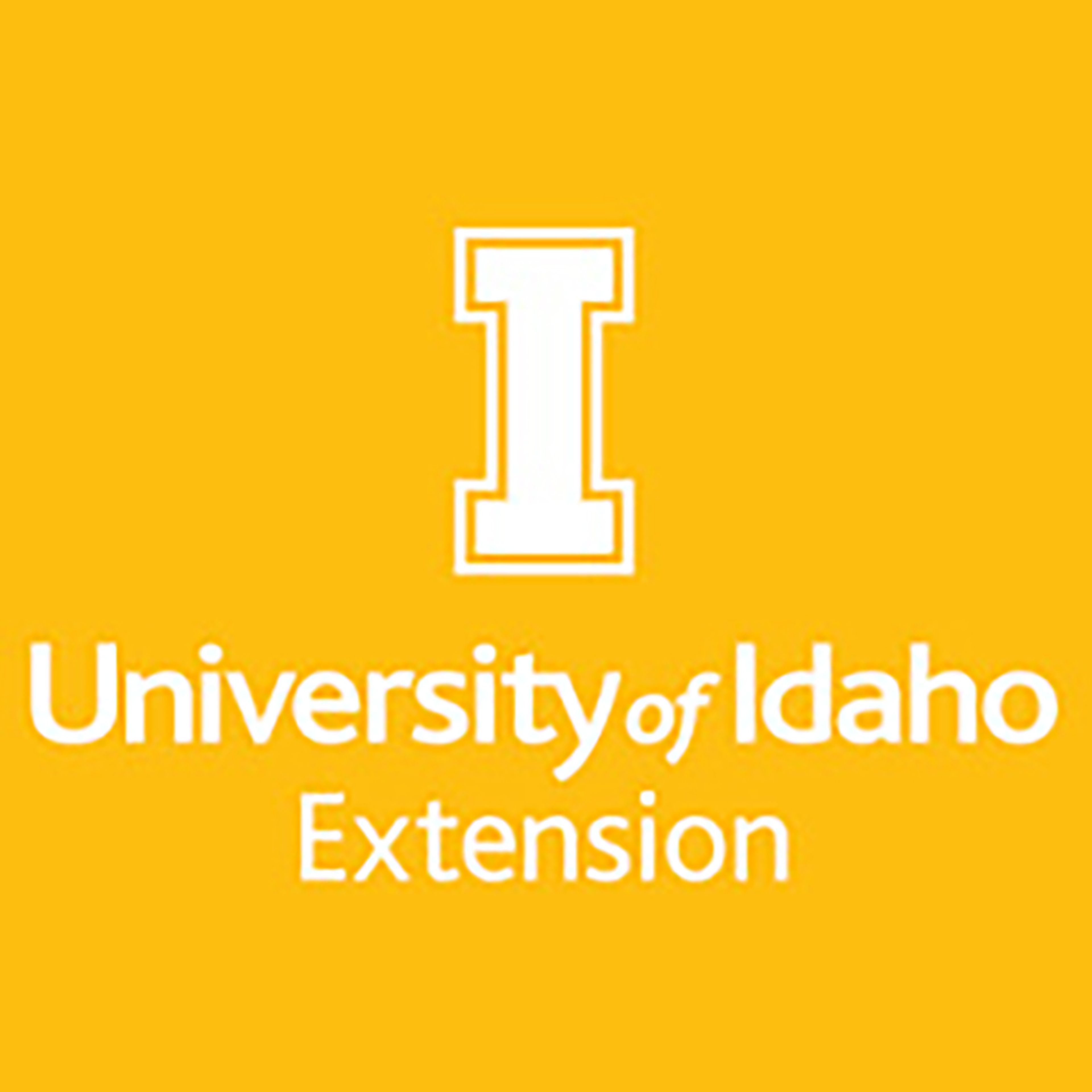 UI Extension to host wreath-making workshop