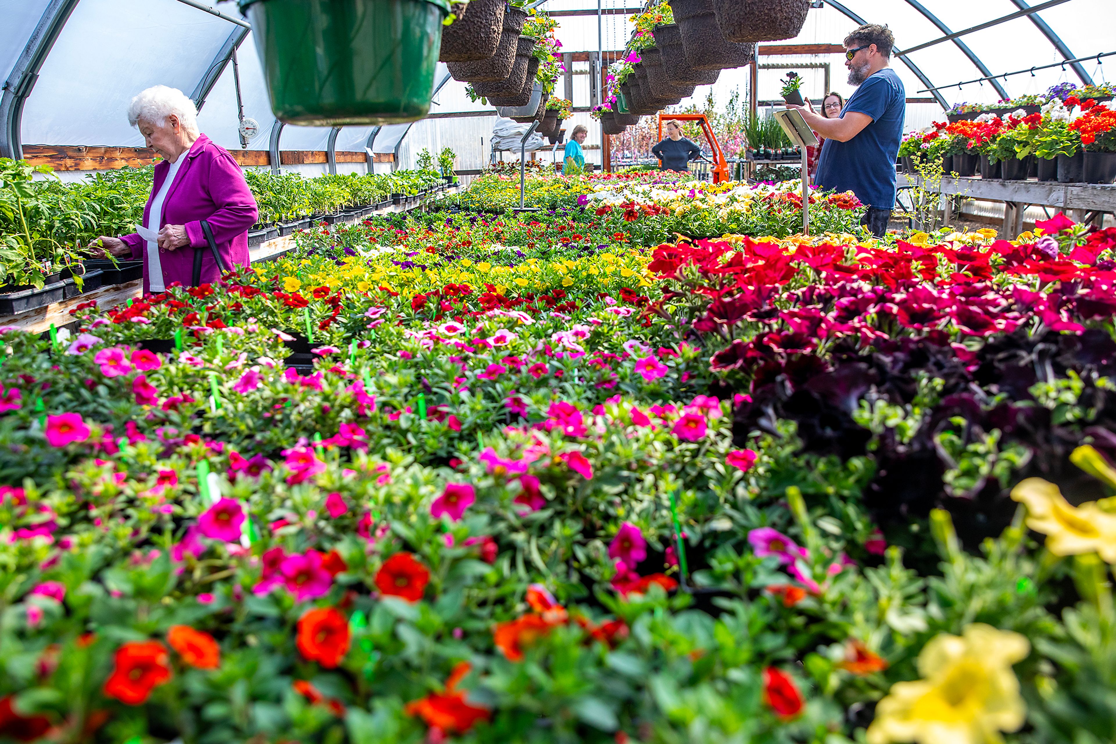 People look over the flowers in a greenhouse Saturday at Patt’s Garden Center in Clarkston.