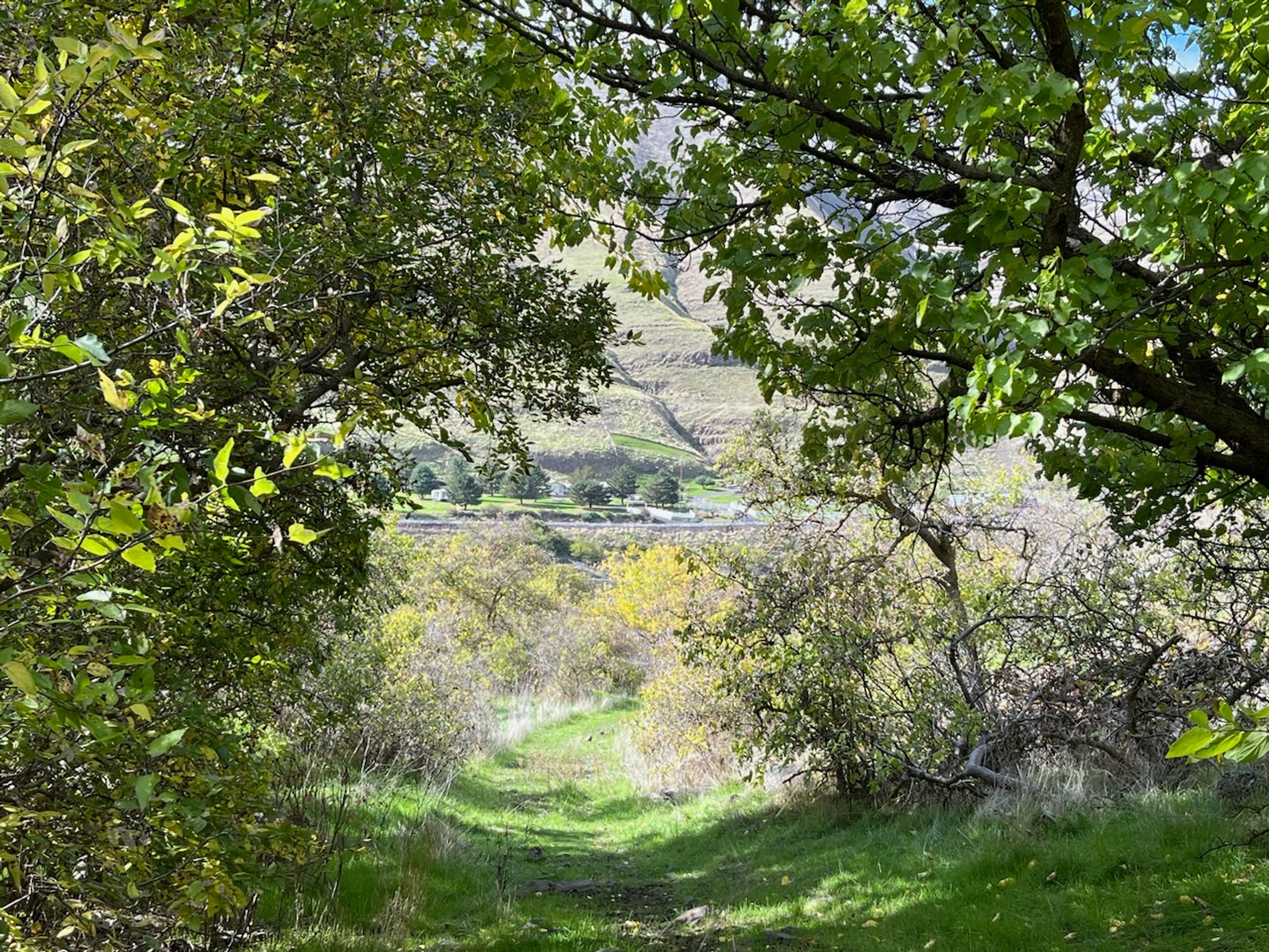 Redbird Creek Trail