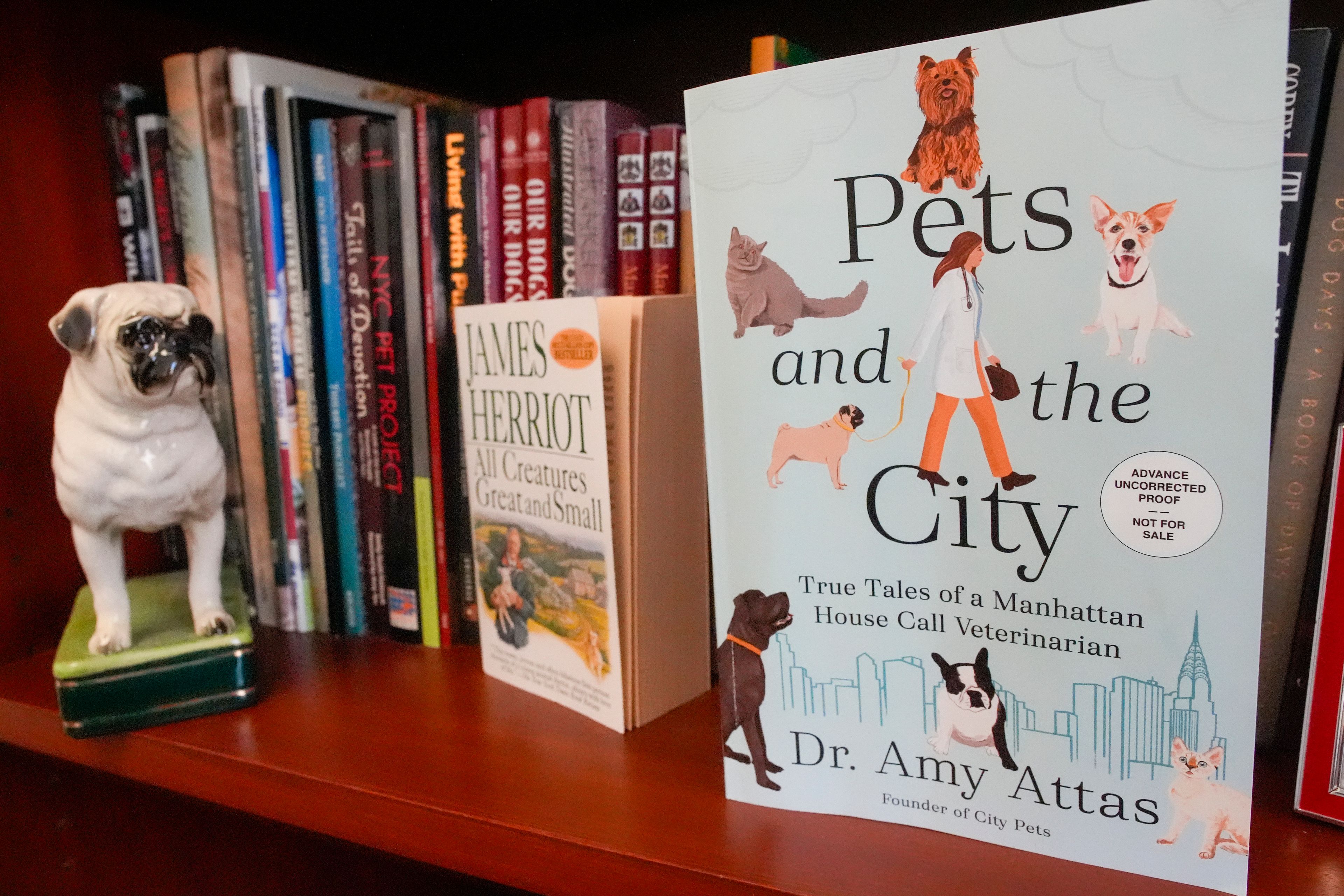 A copy of "Pets and the City" by Dr. Amy Attas, and James Herriot's "All Creatures Great and Small" are displayed on a book shelf in Attas' office at City Pets, Tuesday, April 23, 2024, in New York.