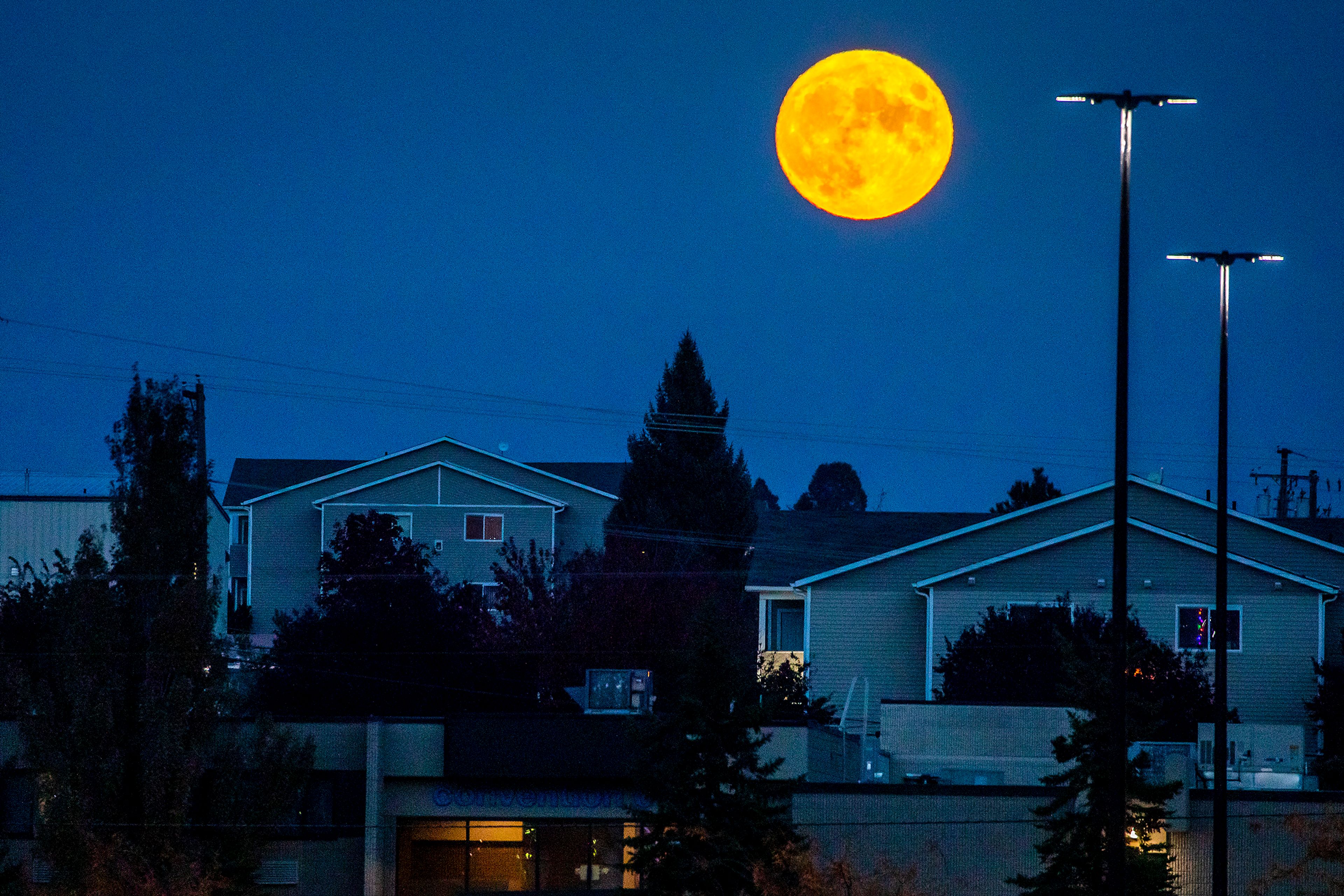 A large orange moon rises into the night sky as the last of daytime disappears over Moscow on Tuesday, Oct. 19, 2021. The moon takes on an orange tint from being low in the sky and using a long lens, in this case 400 millimeters, makes the moon appear bigger framed against objects along the horizon. 